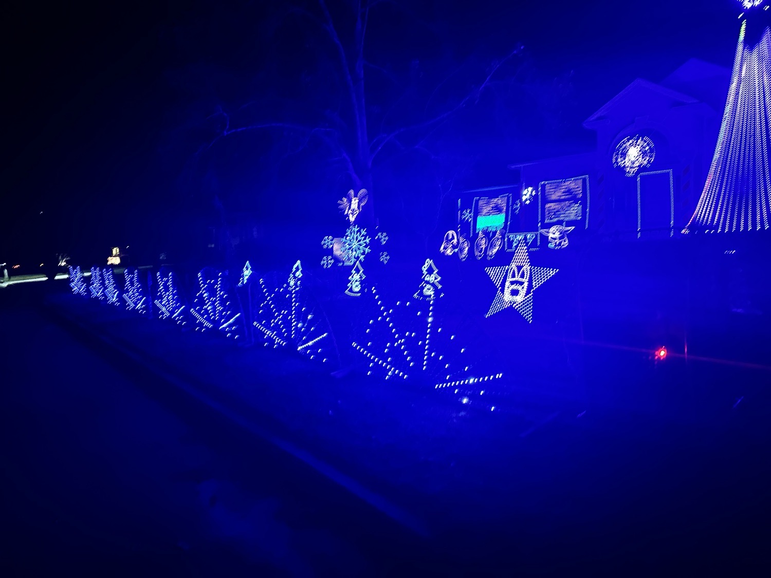 Connor Family Christmas Light Show, Christmas lights in Hahira, GA (photo 1)