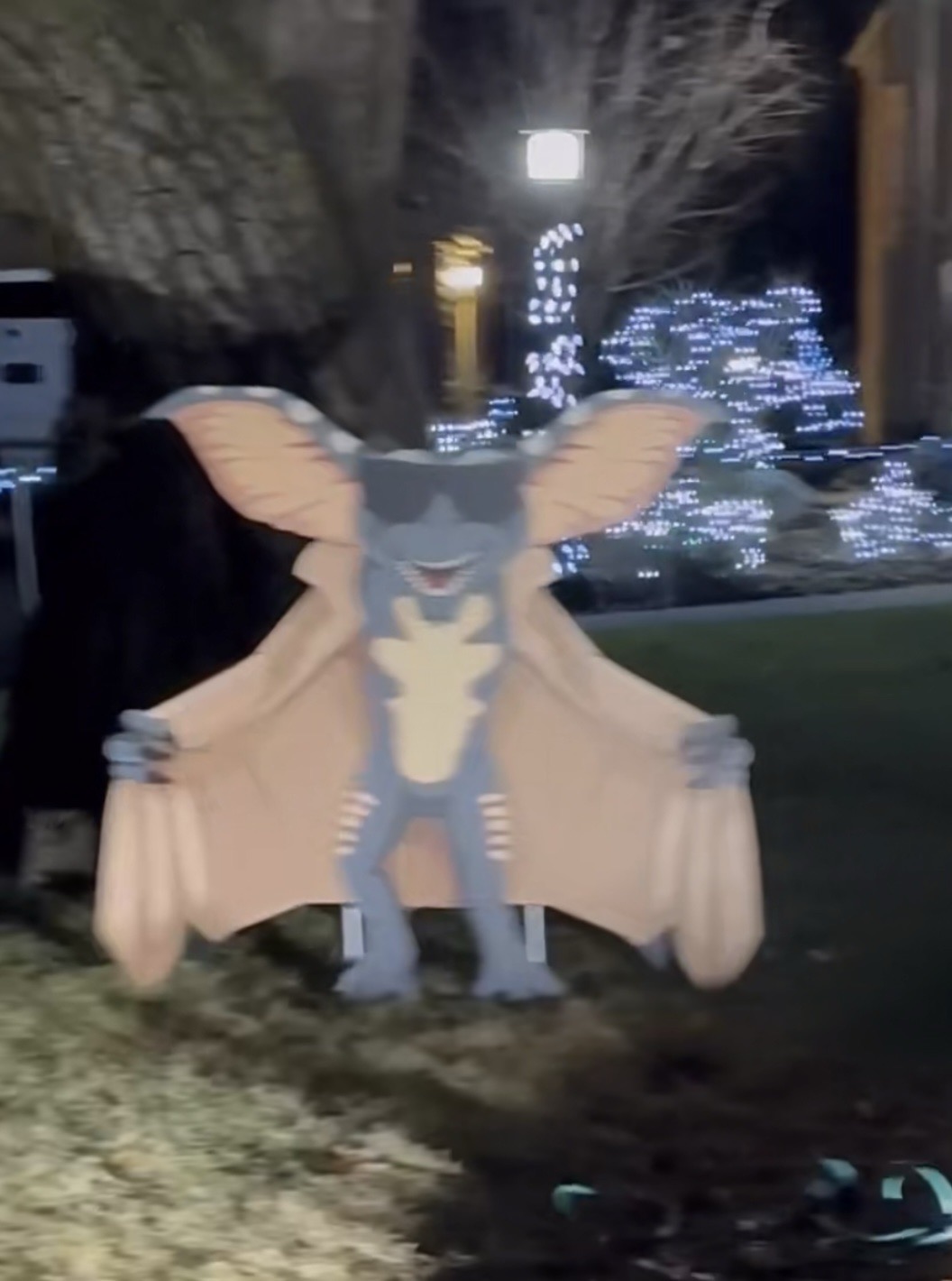 Gremlins, Christmas lights in Homewood, IL (photo 2)
