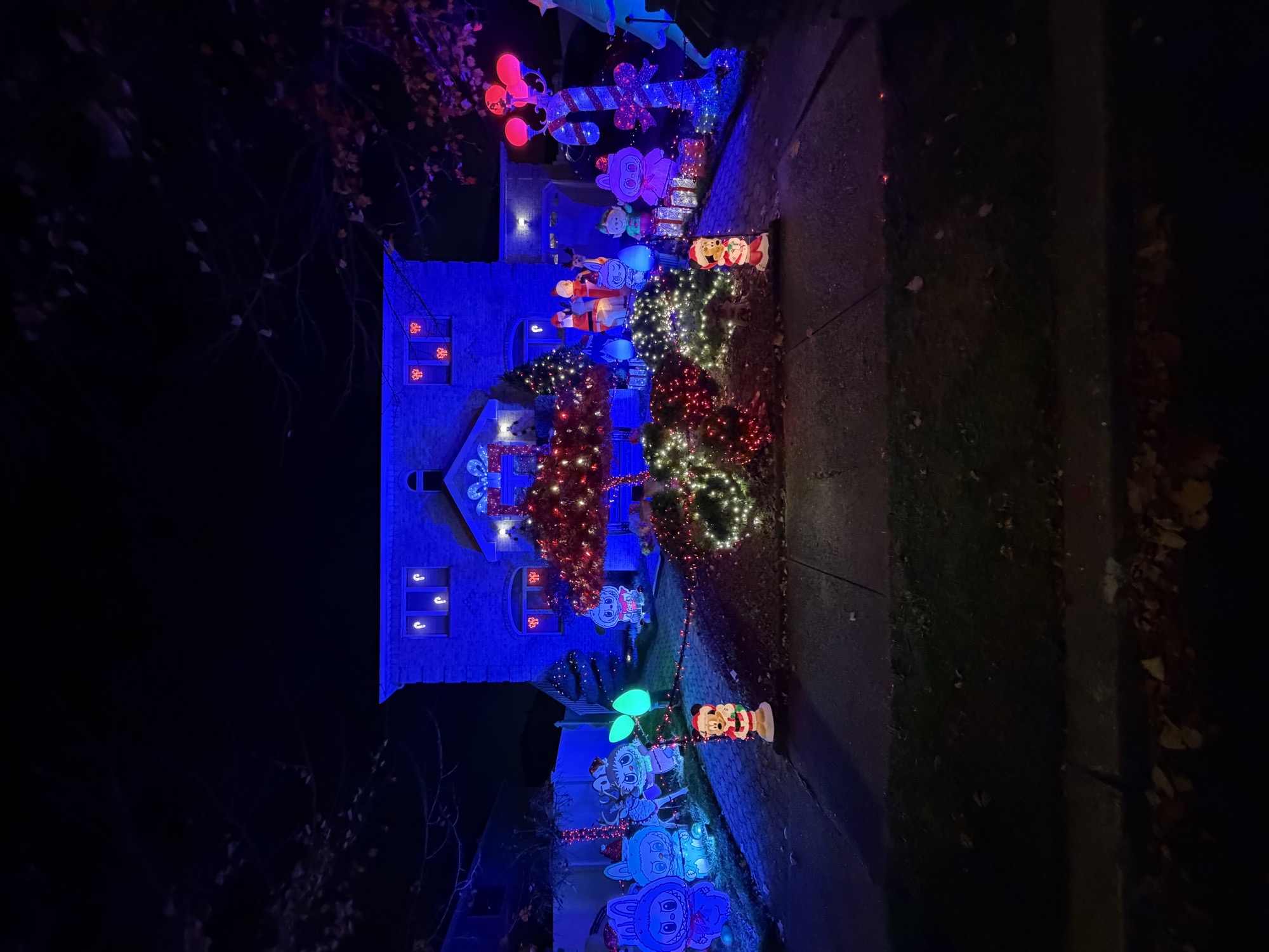 Labubu Holiday Display, Christmas lights in Staten Island, NY (photo 1)