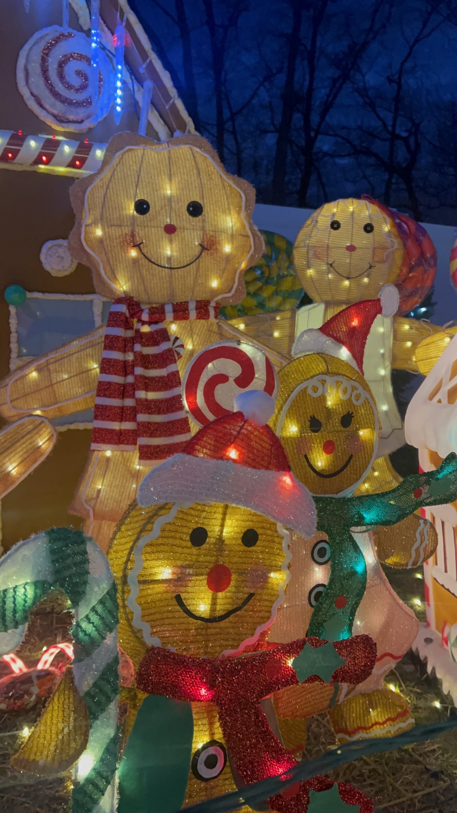 Liam’s spectacular Christmas Display, Christmas lights in Middletown, NJ (photo 3)
