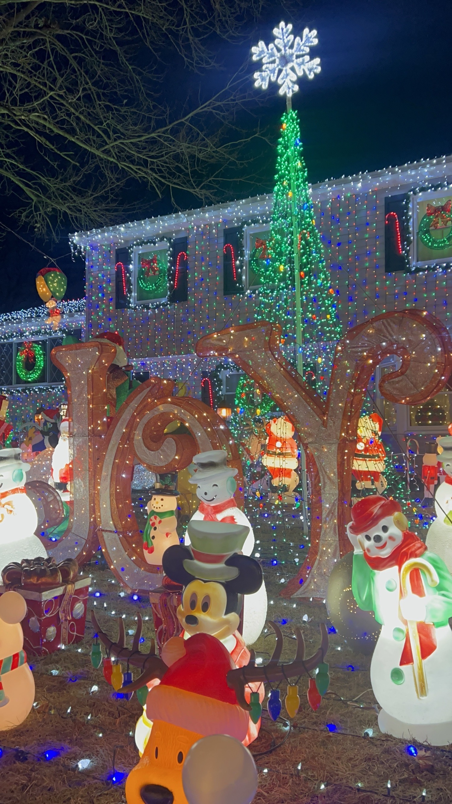 Liam’s spectacular Christmas Display, Christmas lights in Middletown, NJ (photo 4)