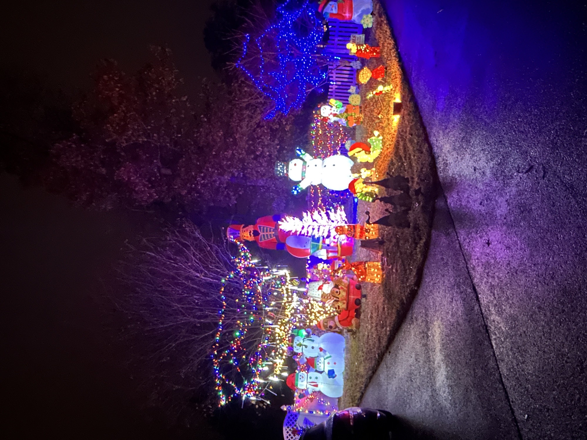 Christmas Avenue, Christmas lights in Pasadena, MD (photo 2)