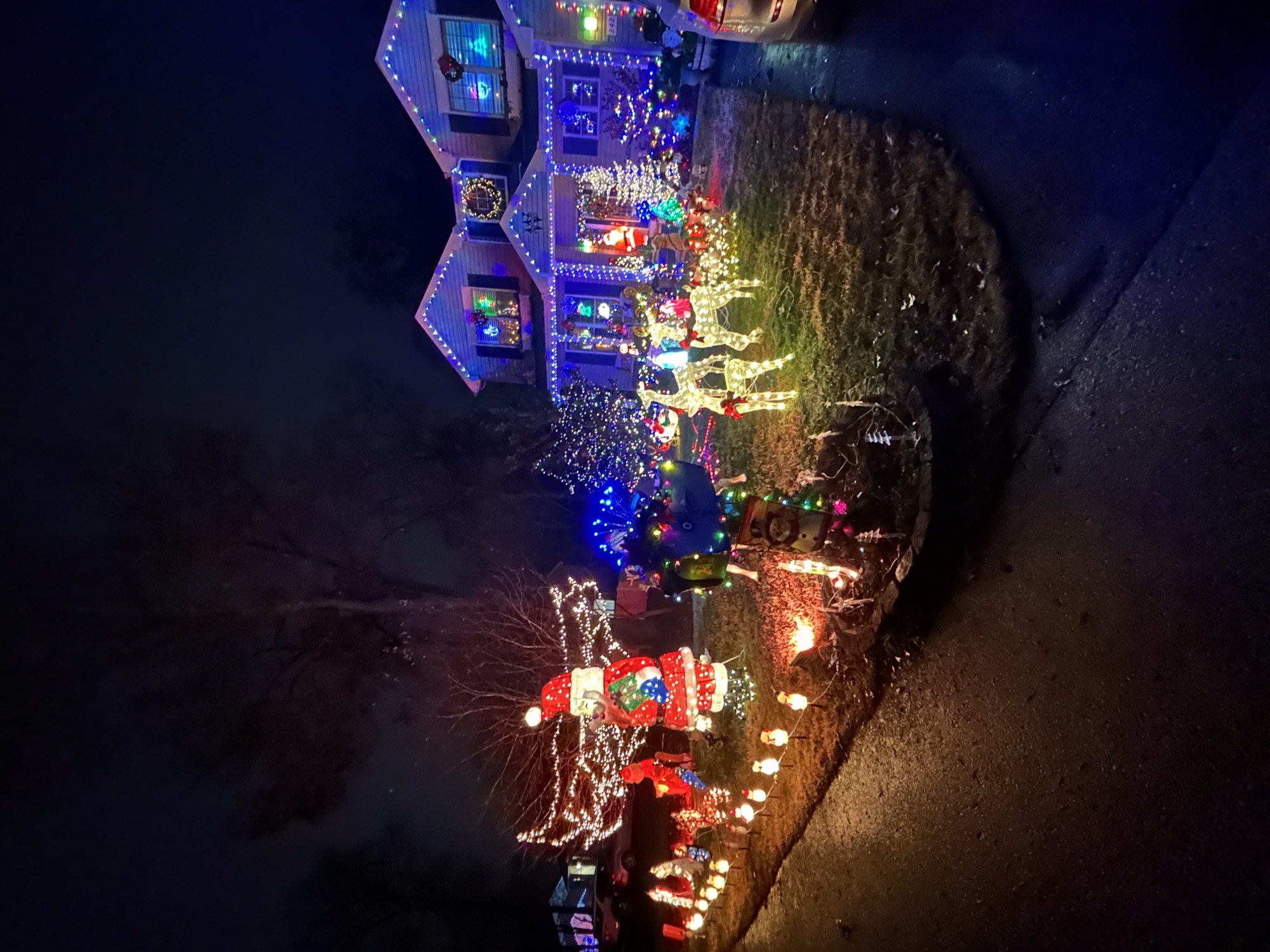Christmas Avenue, Christmas lights in Pasadena, MD (photo 5)