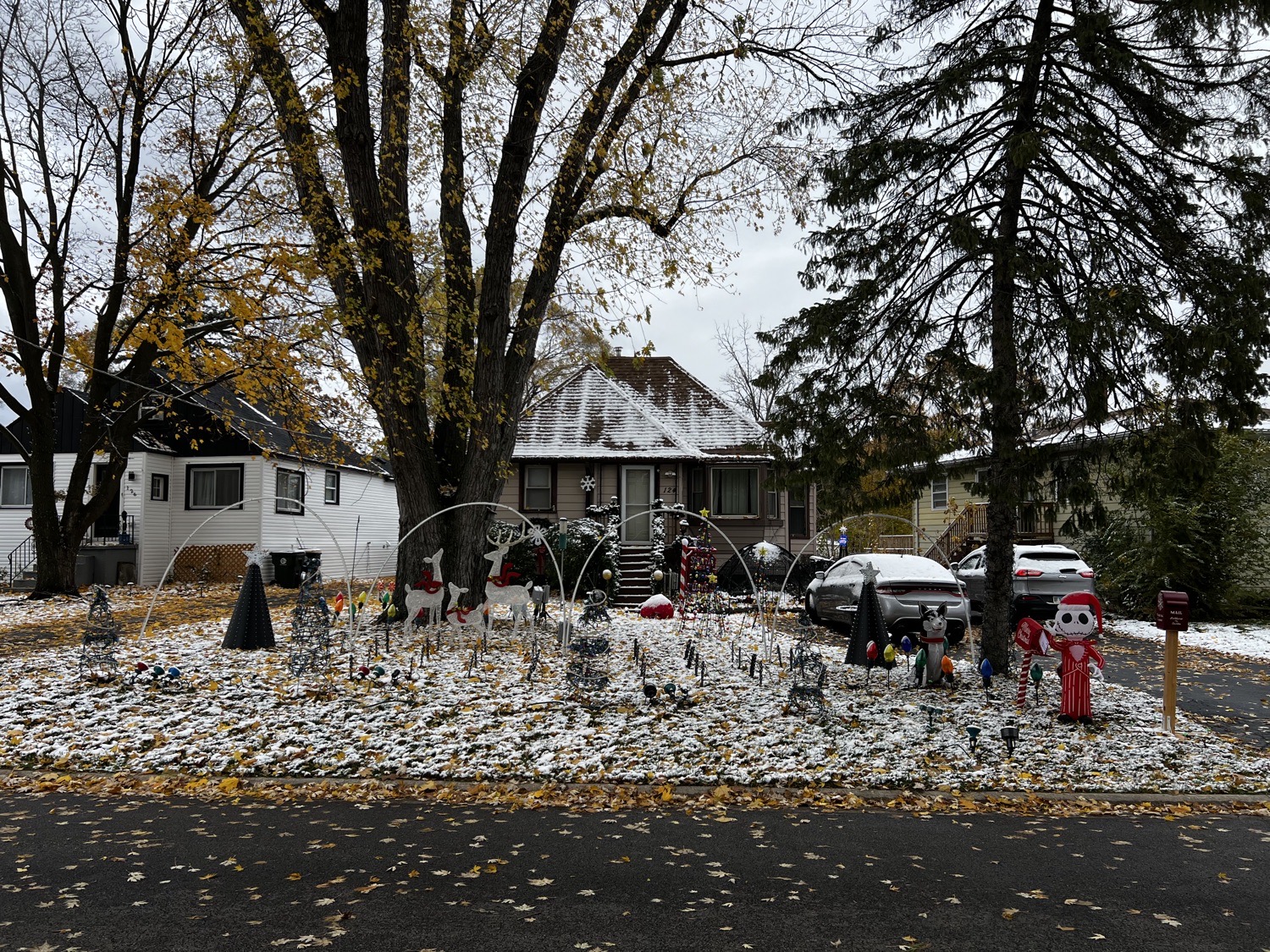 Friedrich family Light Show, Christmas lights in Round Lake Beach, IL (photo 5)