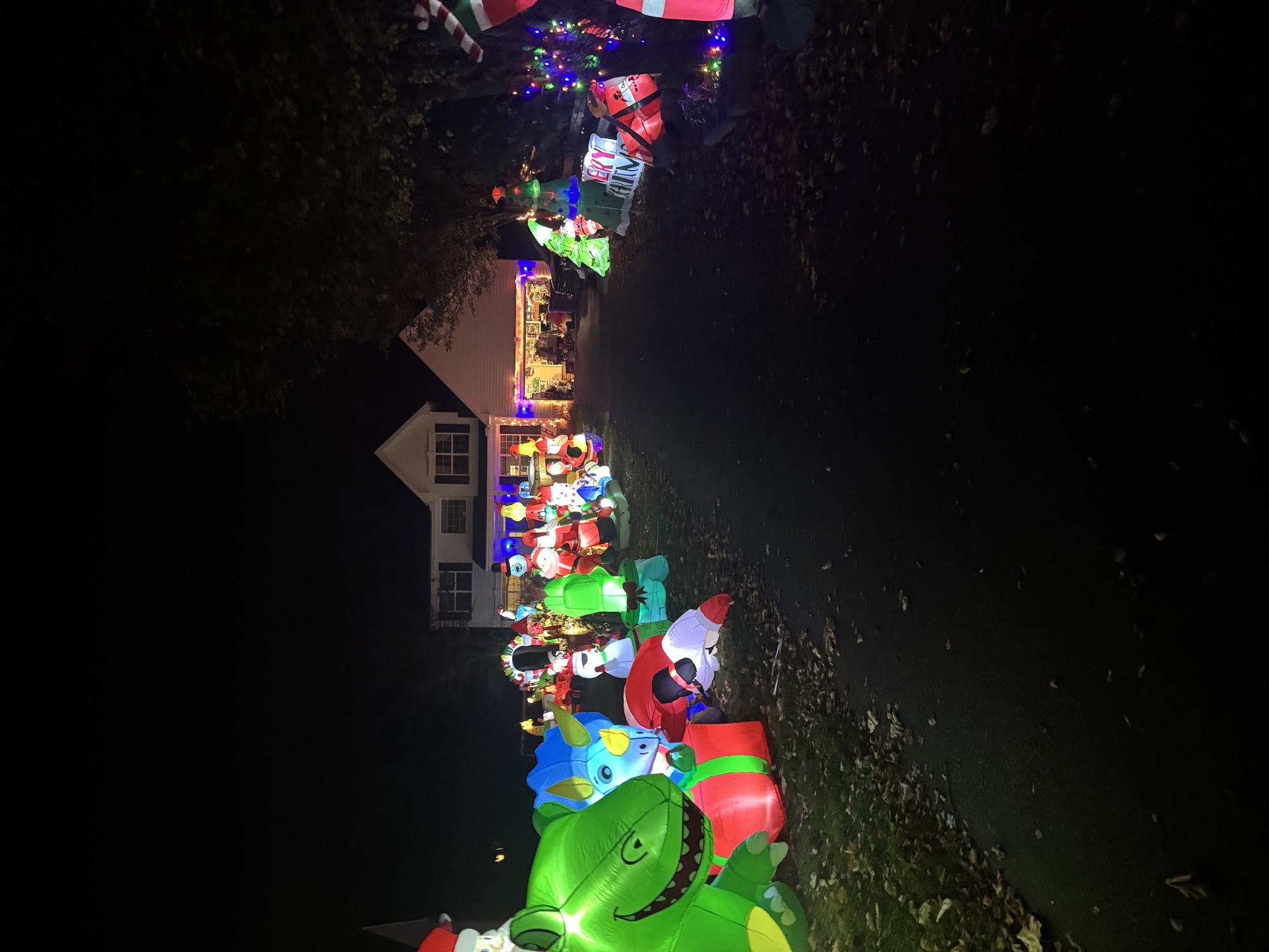 Parkesburg Inflatable Christmas Village, Christmas lights in Parkesburg, PA (photo 2)