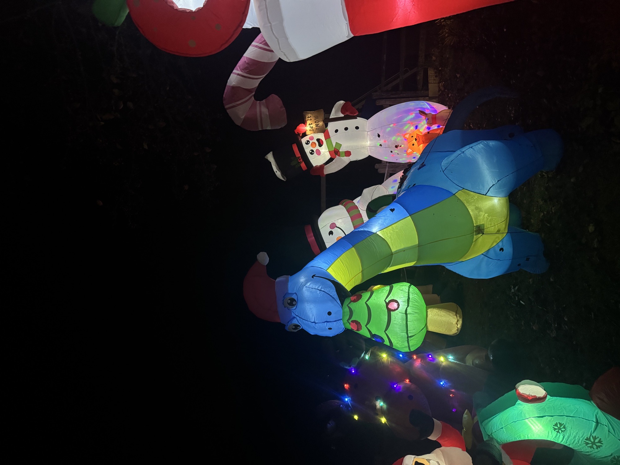 Parkesburg Inflatable Christmas Village, Christmas lights in Parkesburg, PA (photo 3)