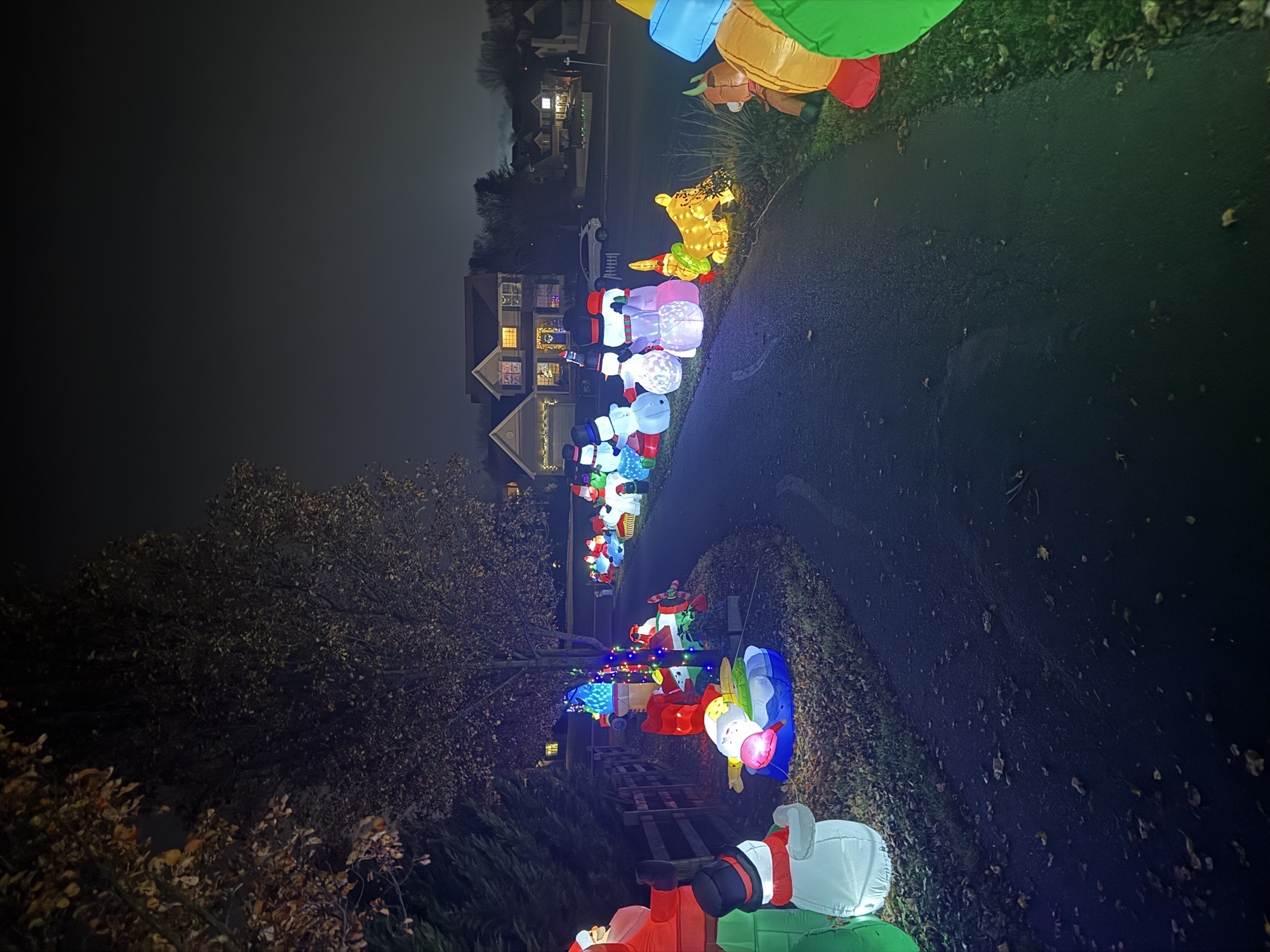Parkesburg Inflatable Christmas Village, Christmas lights in Parkesburg, PA (photo 5)