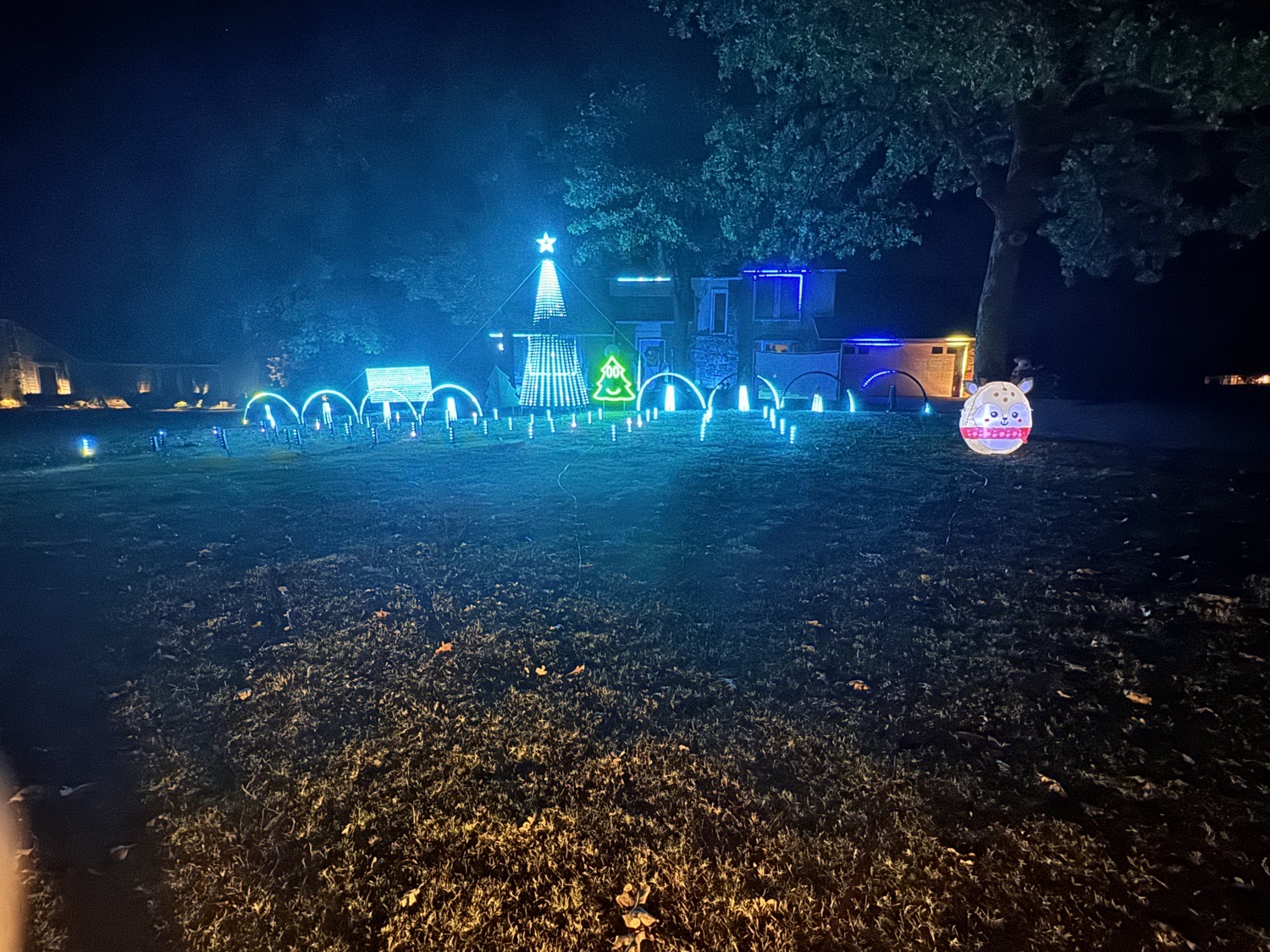 The Lights On Pioneer, Christmas lights in Sapulpa, OK (photo 4)