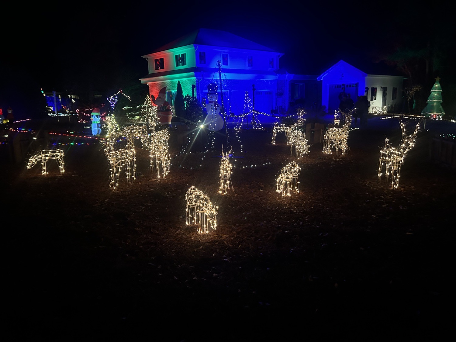 Very Merry Christmas Holiday Display, Christmas lights in Hampstead, NC (photo 4)