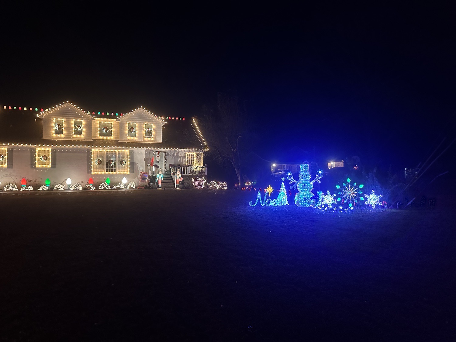 Lake House, Christmas lights in Bells, TN (photo 2)