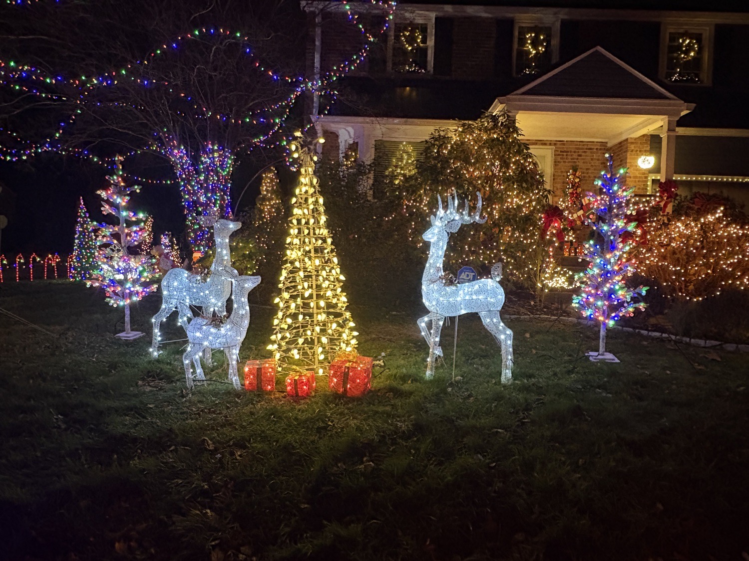 Candy Cane Lane, Christmas lights in Havertown, PA (photo 3)