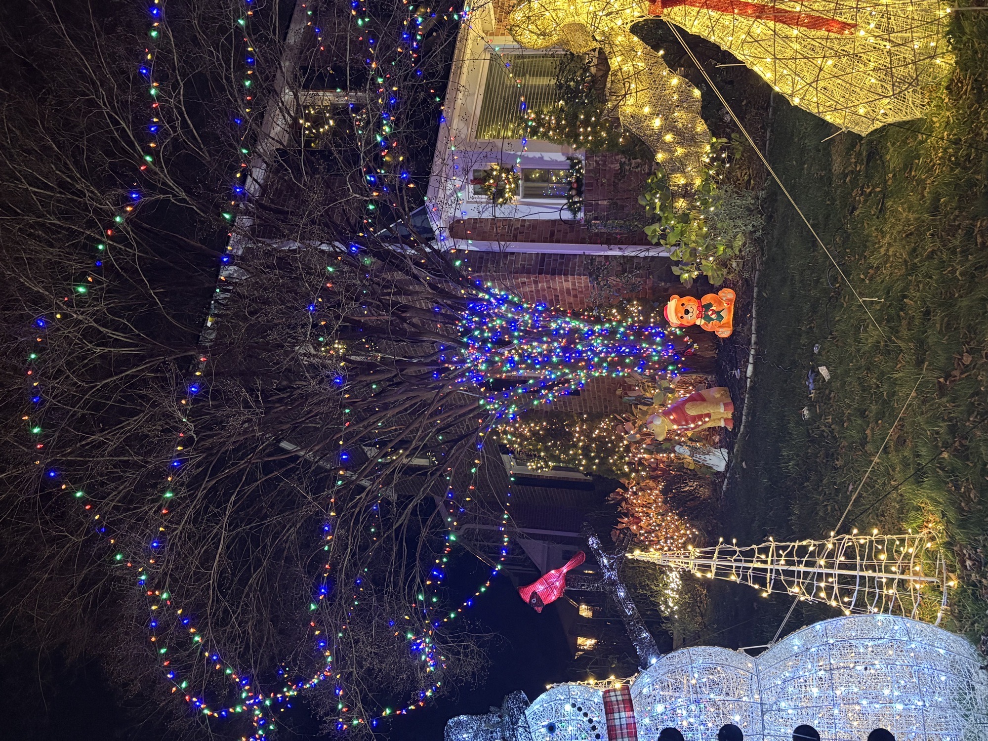Candy Cane Lane, Christmas lights in Havertown, PA (photo 4)