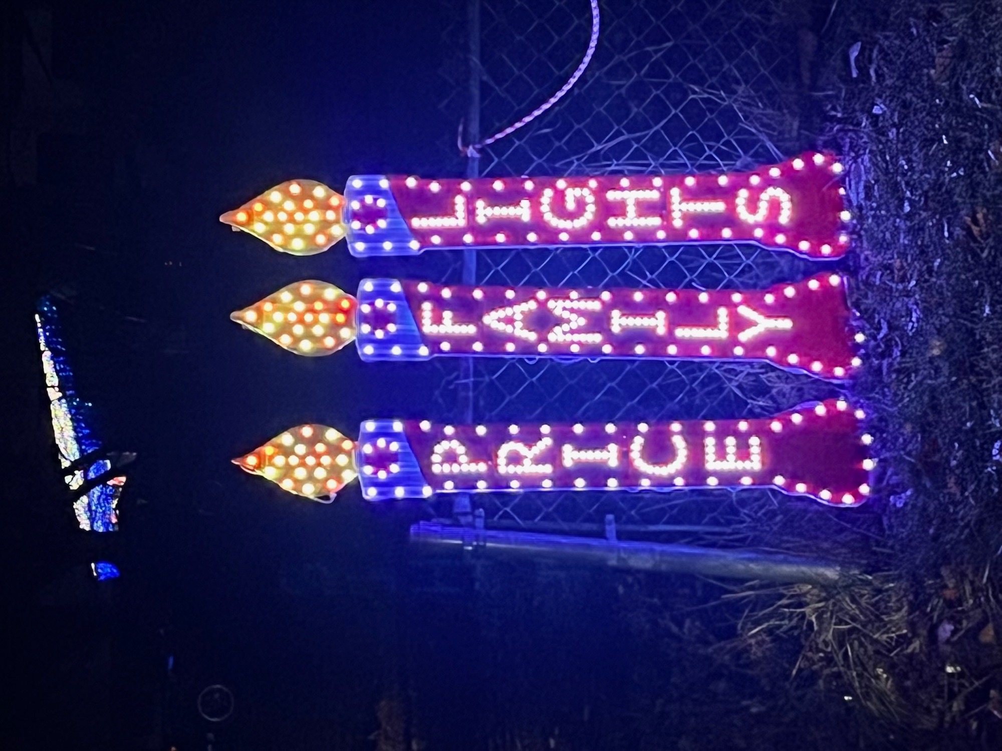 Price Family Lights, Christmas lights in Danville, IN (photo 3)