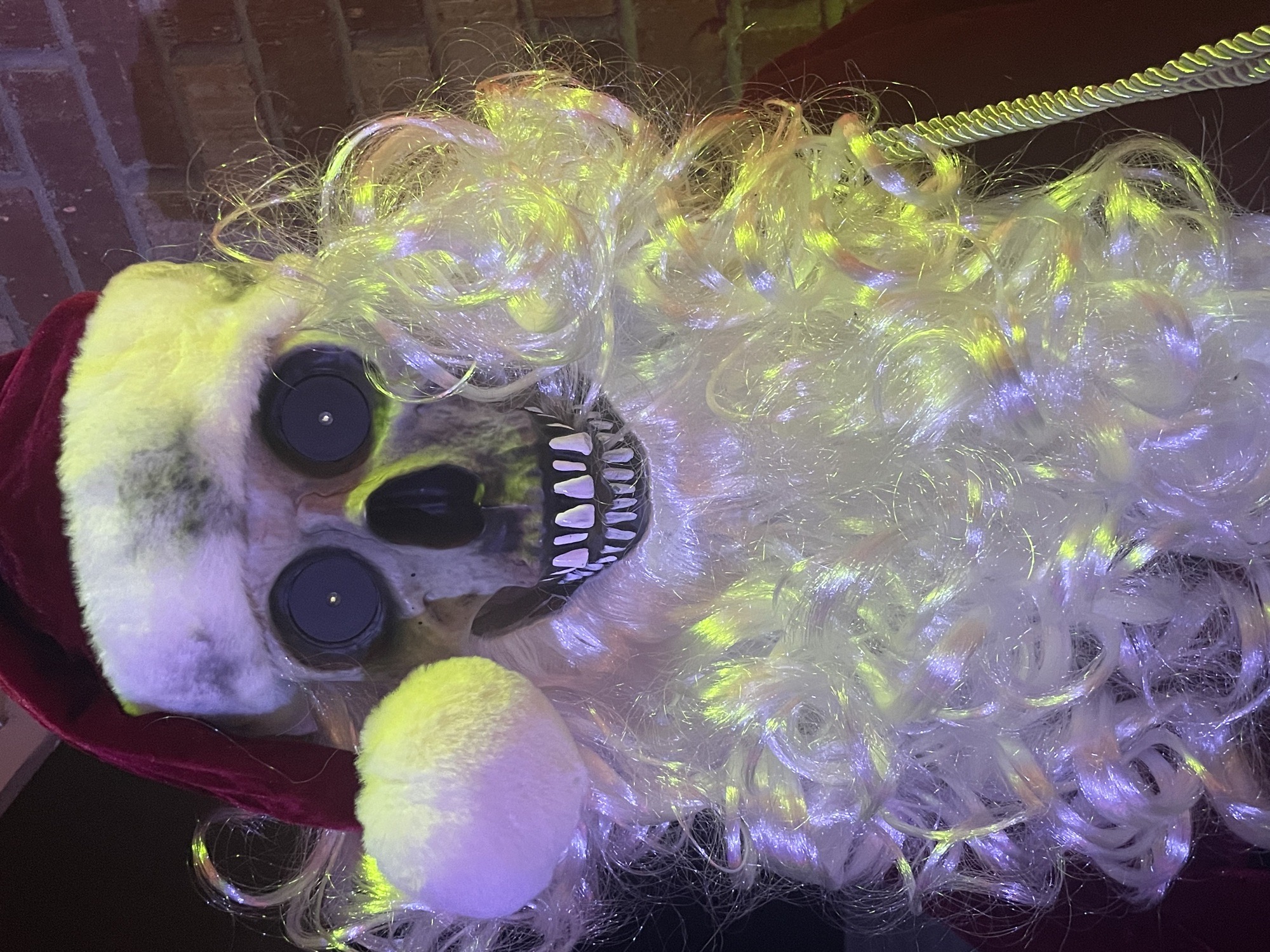 Neff’s Spooky Christmas, Christmas lights in Lexington, KY (photo 5)
