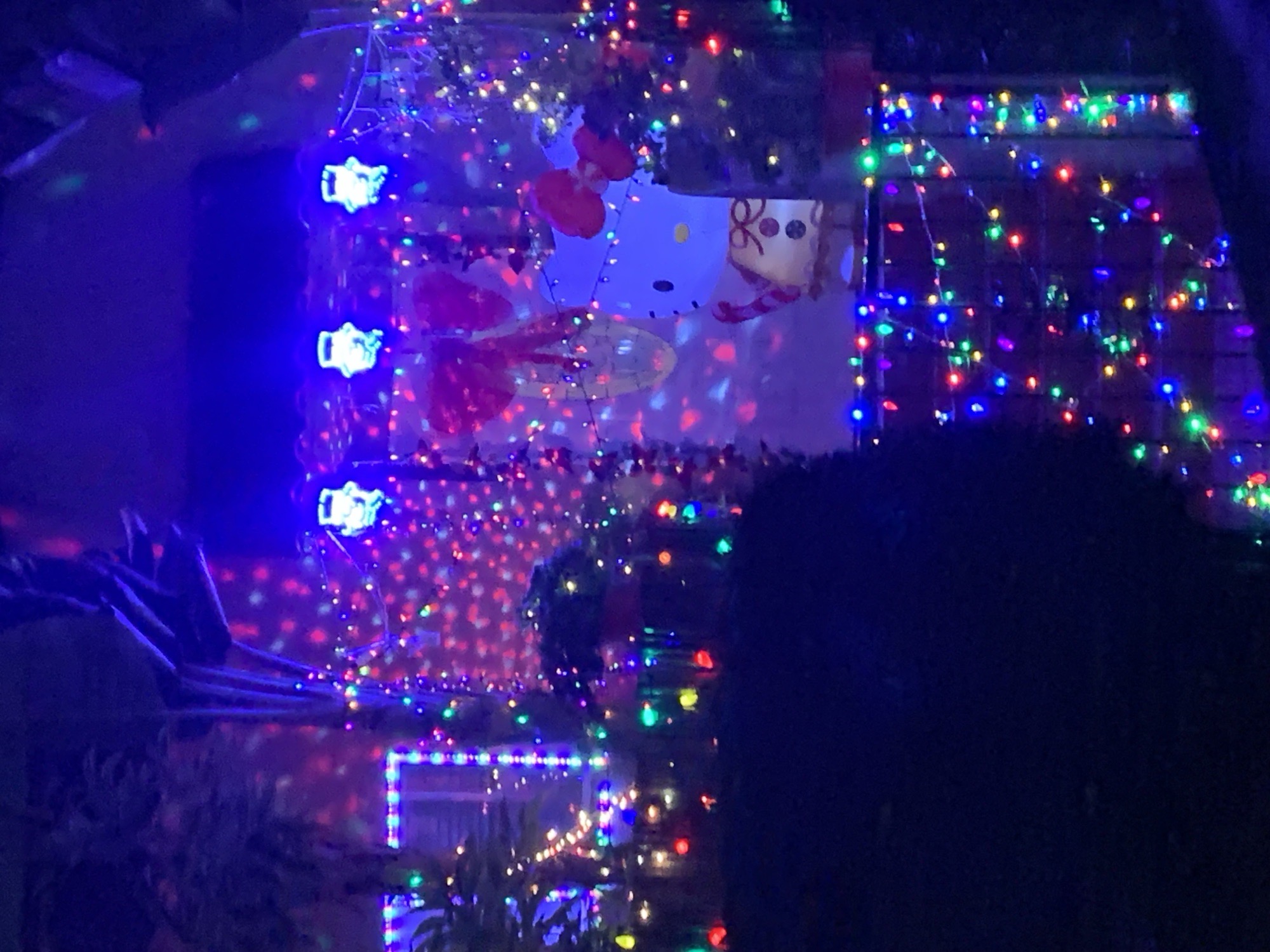 Crazy Christmas, Christmas lights in Los Angeles, CA (photo 1)