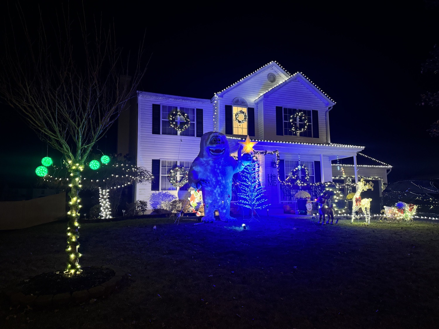 Hughes Family Decorations, Christmas lights in Williamstown, NJ (photo 4)