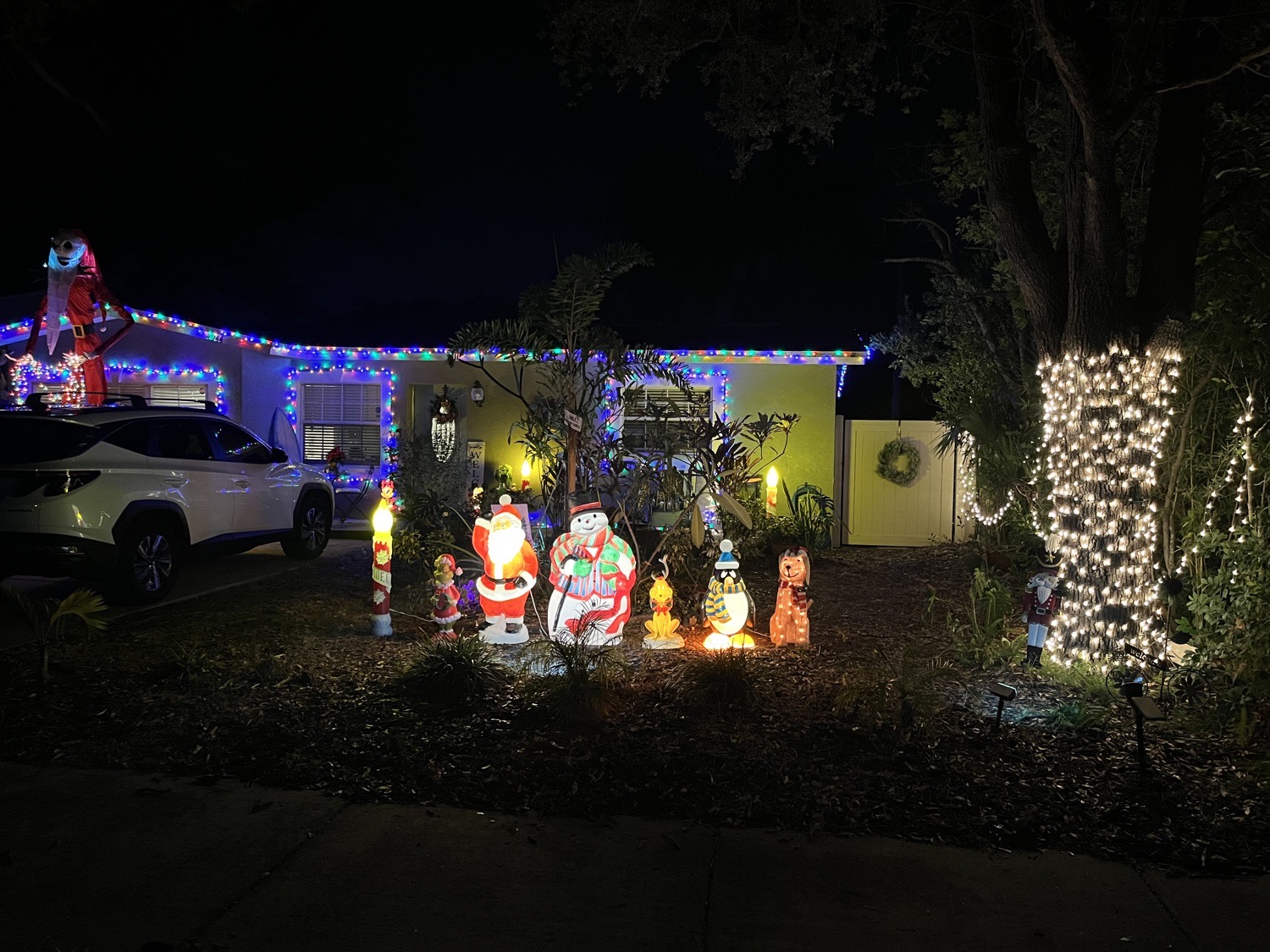 Ebeneezer’s nightmare, Christmas lights in Saint Petersburg, FL (photo 2)