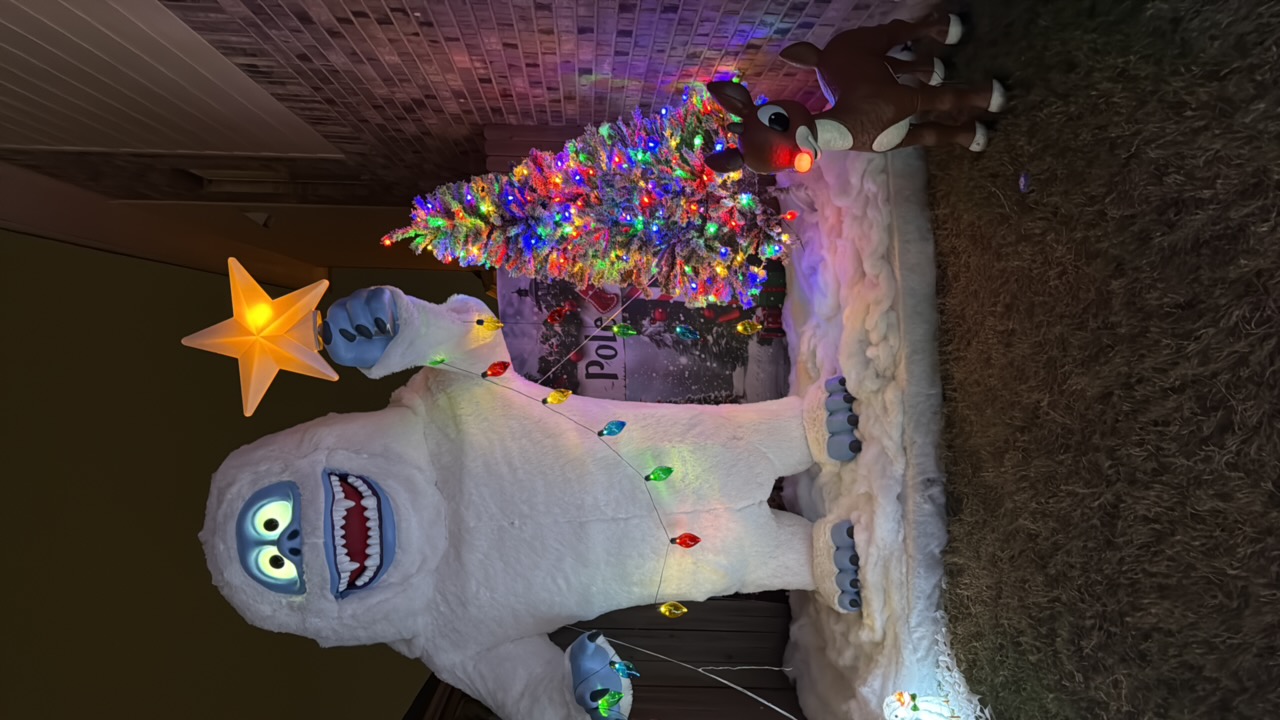 Wonderland on Windom Way, Christmas lights in Georgetown, TX (photo 4)