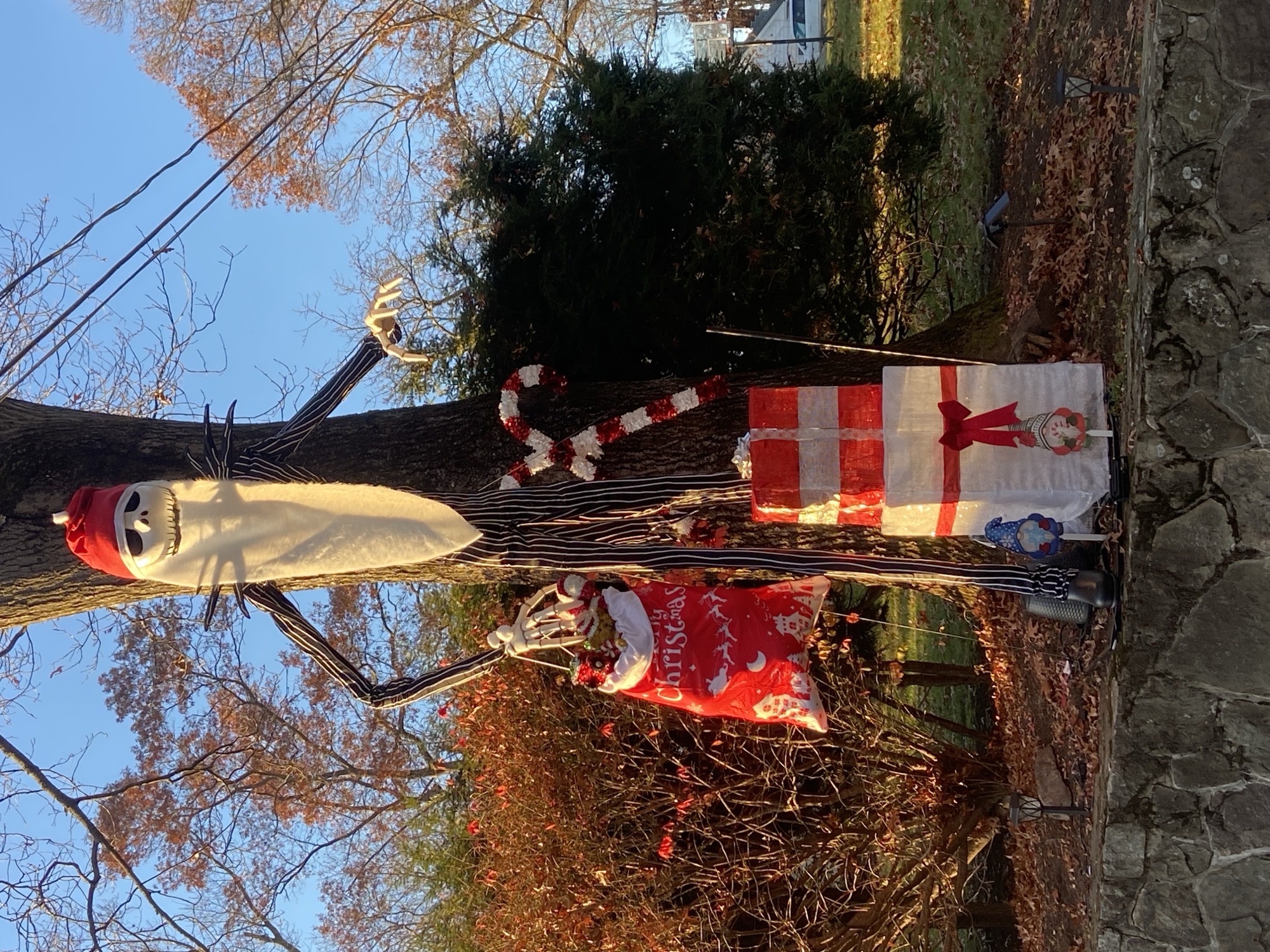 White Ave Christmas, Christmas lights in Middlebury, CT (photo 2)
