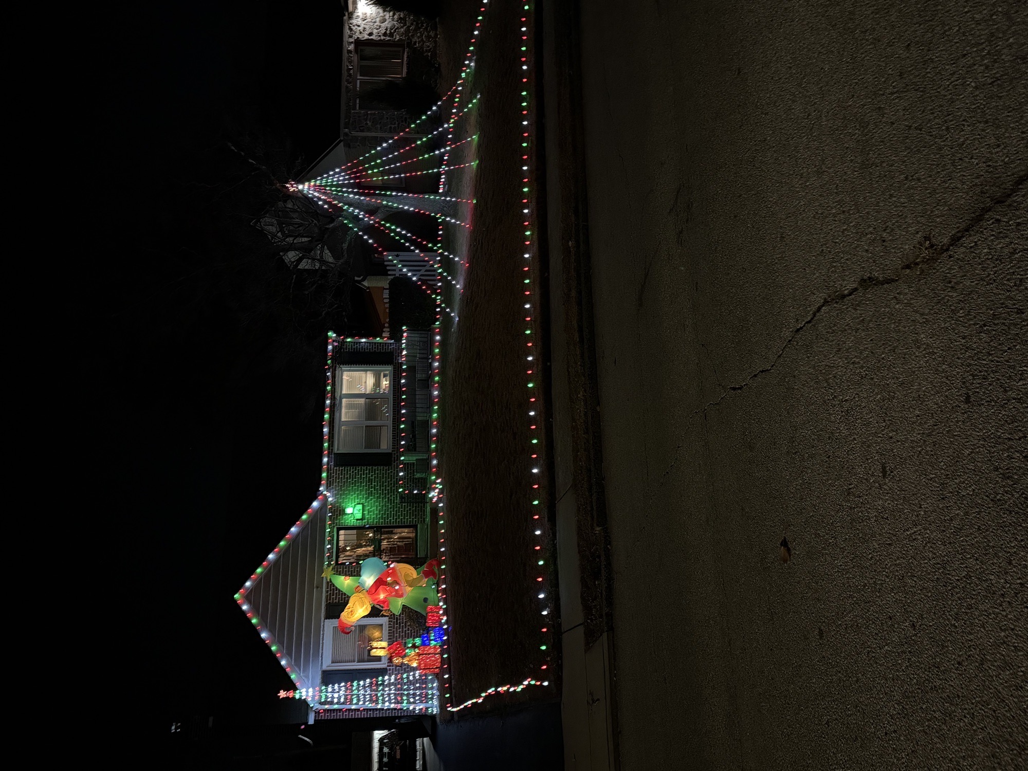 Grinch Caught Stealing, Christmas lights in Havertown, PA (photo 1)