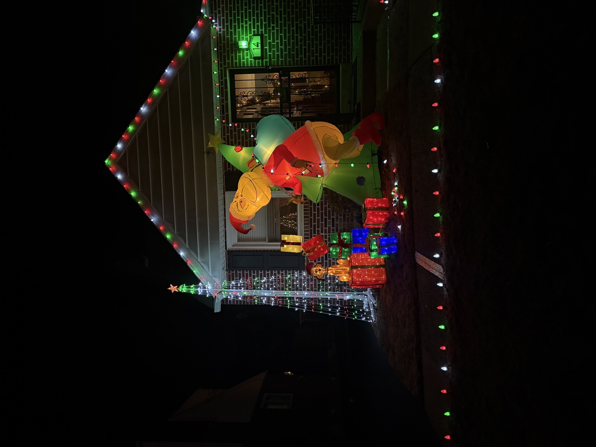 Grinch Caught Stealing, Christmas lights in Havertown, PA (photo 2)