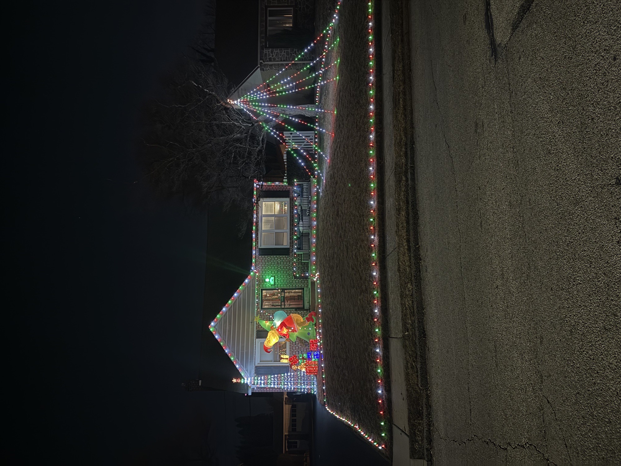 Grinch Caught Stealing, Christmas lights in Havertown, PA (photo 3)