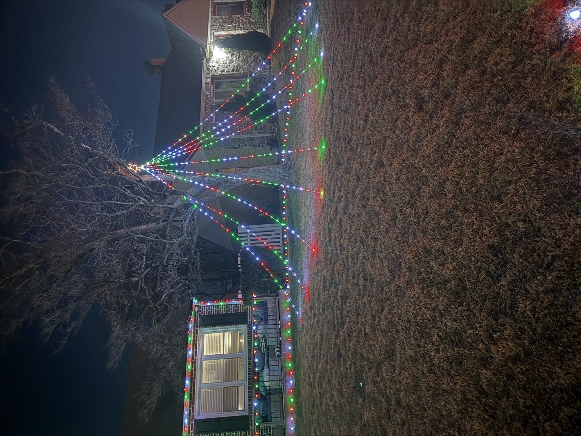 Grinch Caught Stealing, Christmas lights in Havertown, PA (photo 4)
