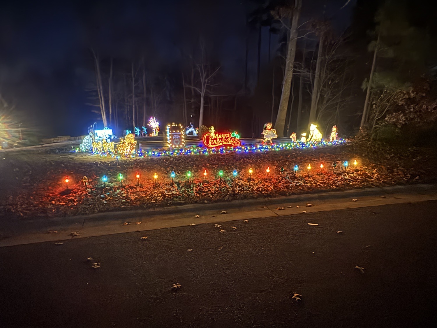 Collier Christmas On Tadley Dr., Christmas lights in Midlothian, VA (photo 2)
