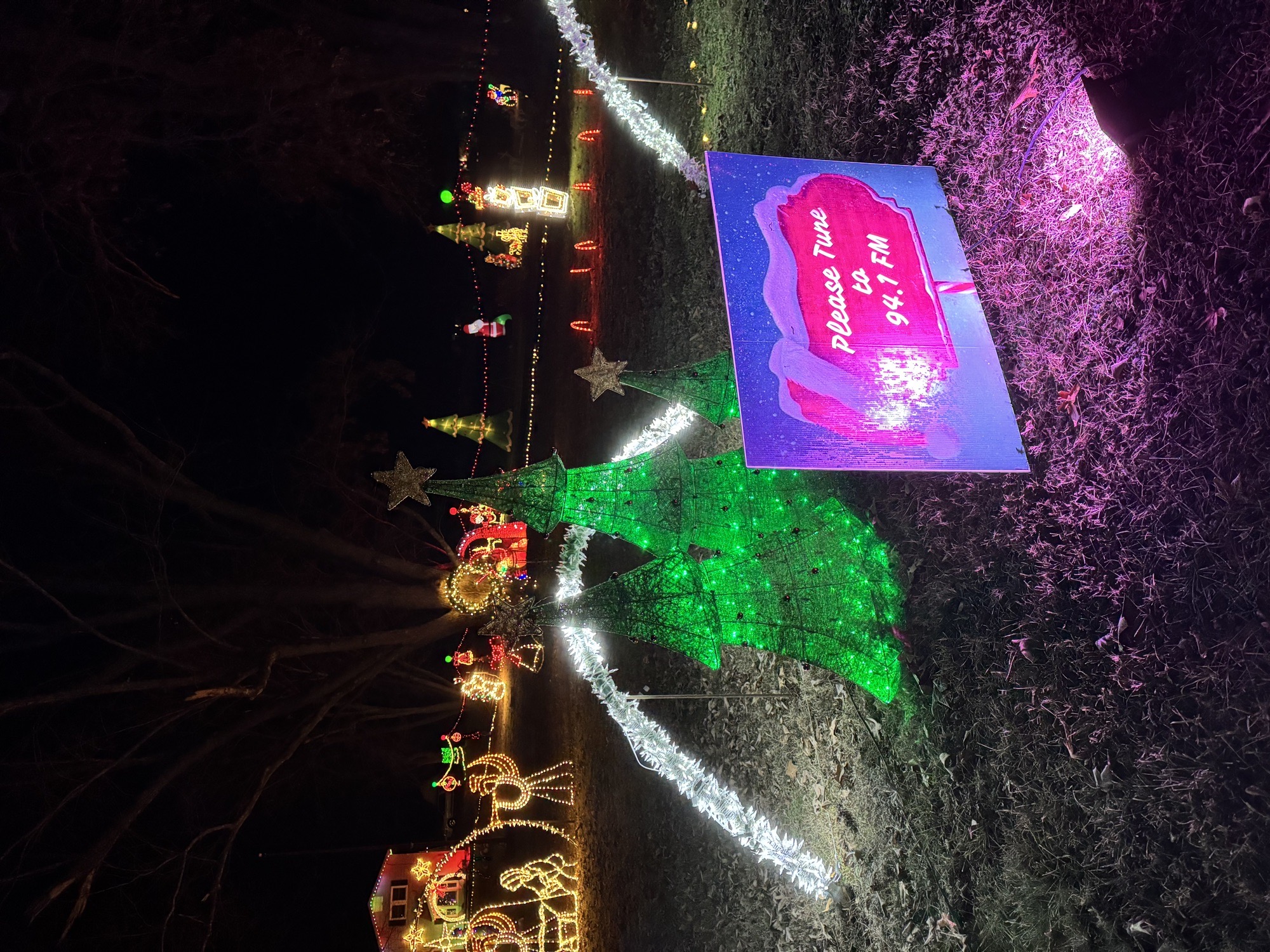 The Snook’s Holiday Sensation, Christmas lights in Springfield, MO (photo 2)
