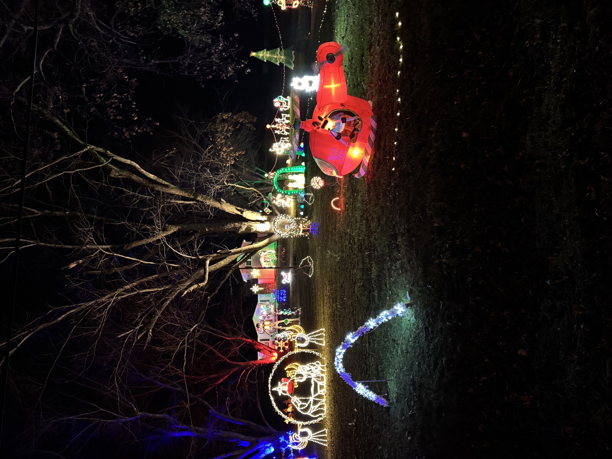 The Snook’s Holiday Sensation, Christmas lights in Springfield, MO (photo 3)