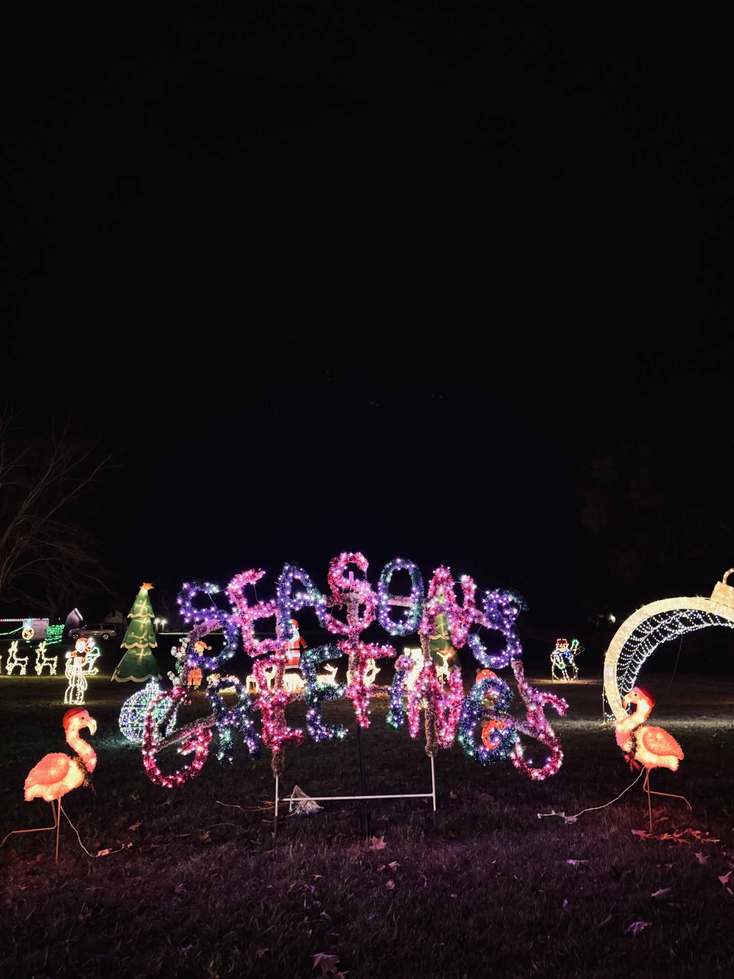The Snook’s Holiday Sensation, Christmas lights in Springfield, MO (photo 4)