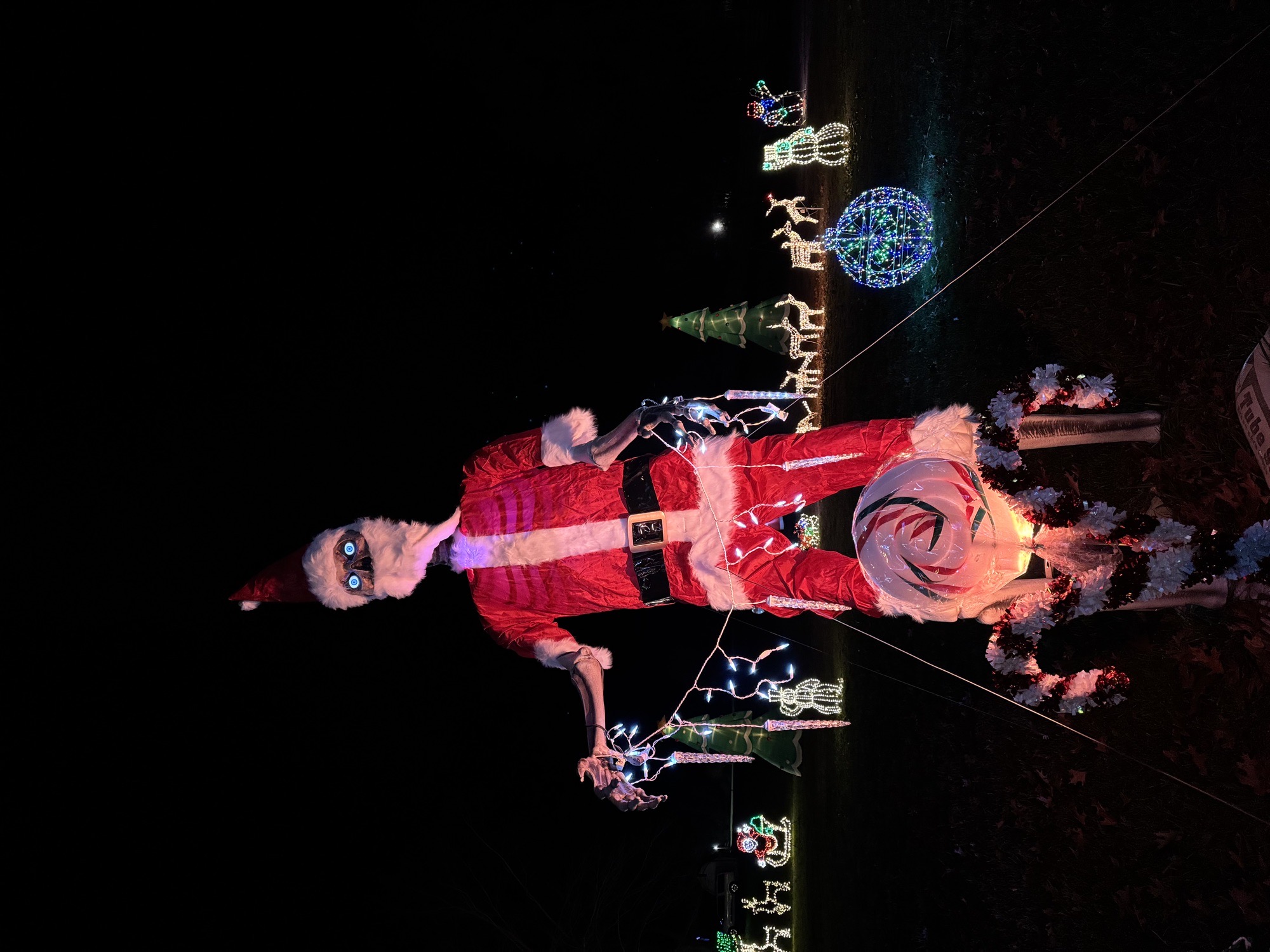 The Snook’s Holiday Sensation, Christmas lights in Springfield, MO (photo 5)