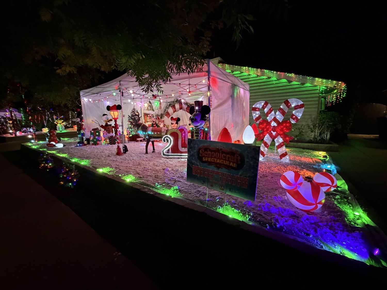 Schoolcraft Spectacular, Christmas lights in Los Angeles, CA (photo 3)