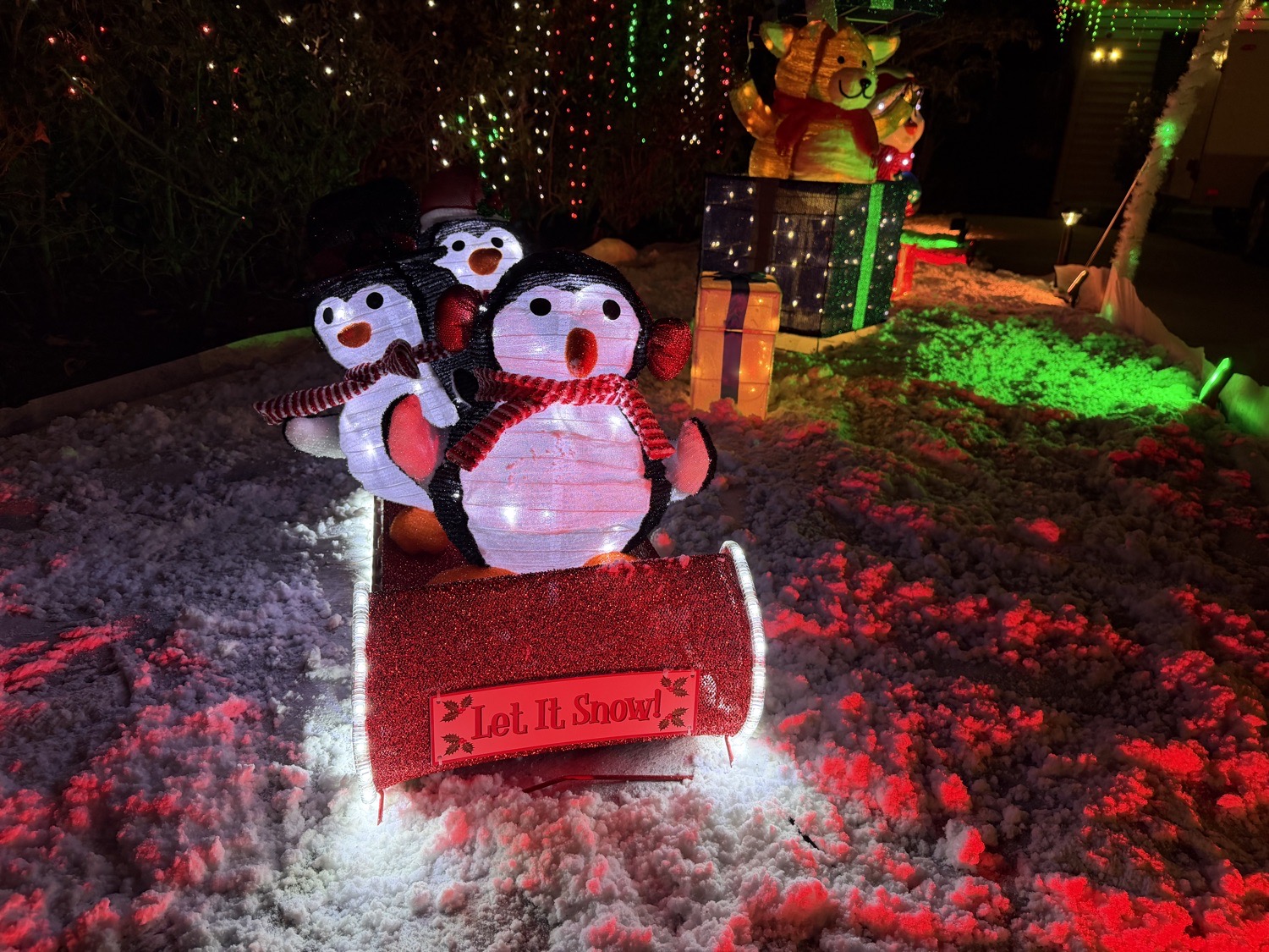 Schoolcraft Spectacular, Christmas lights in Los Angeles, CA (photo 5)