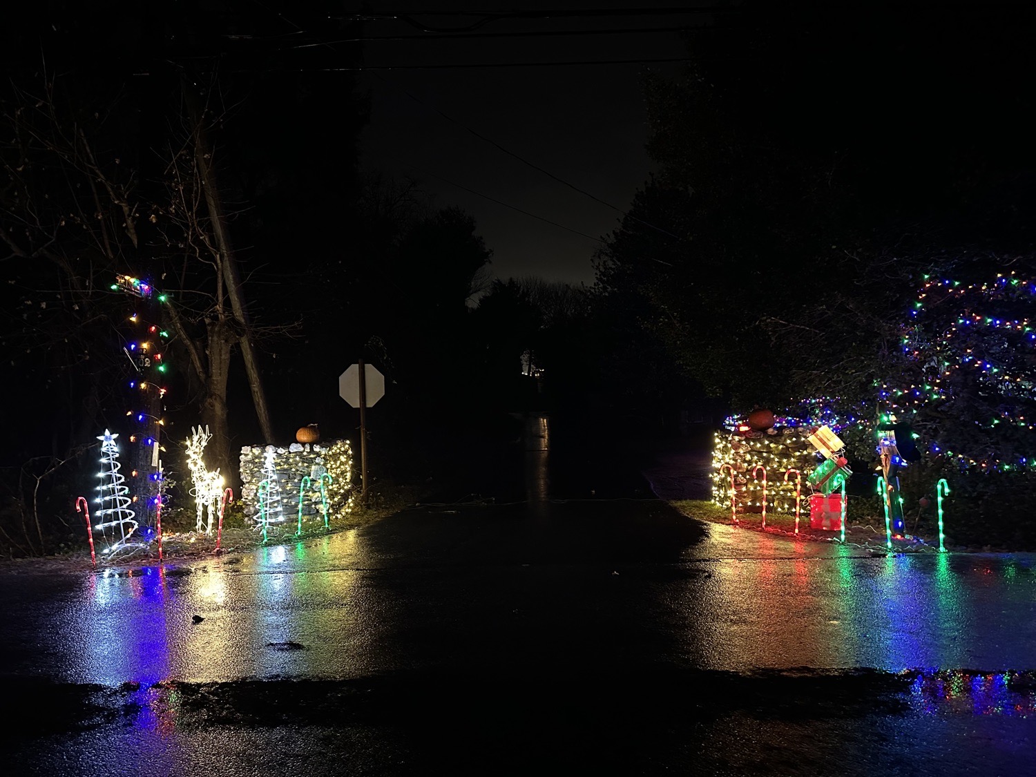 Candy Cane Road, Christmas lights in Jamestown, RI (photo 1)