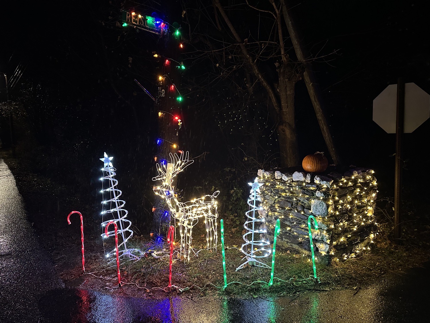 Candy Cane Road, Christmas lights in Jamestown, RI (photo 3)