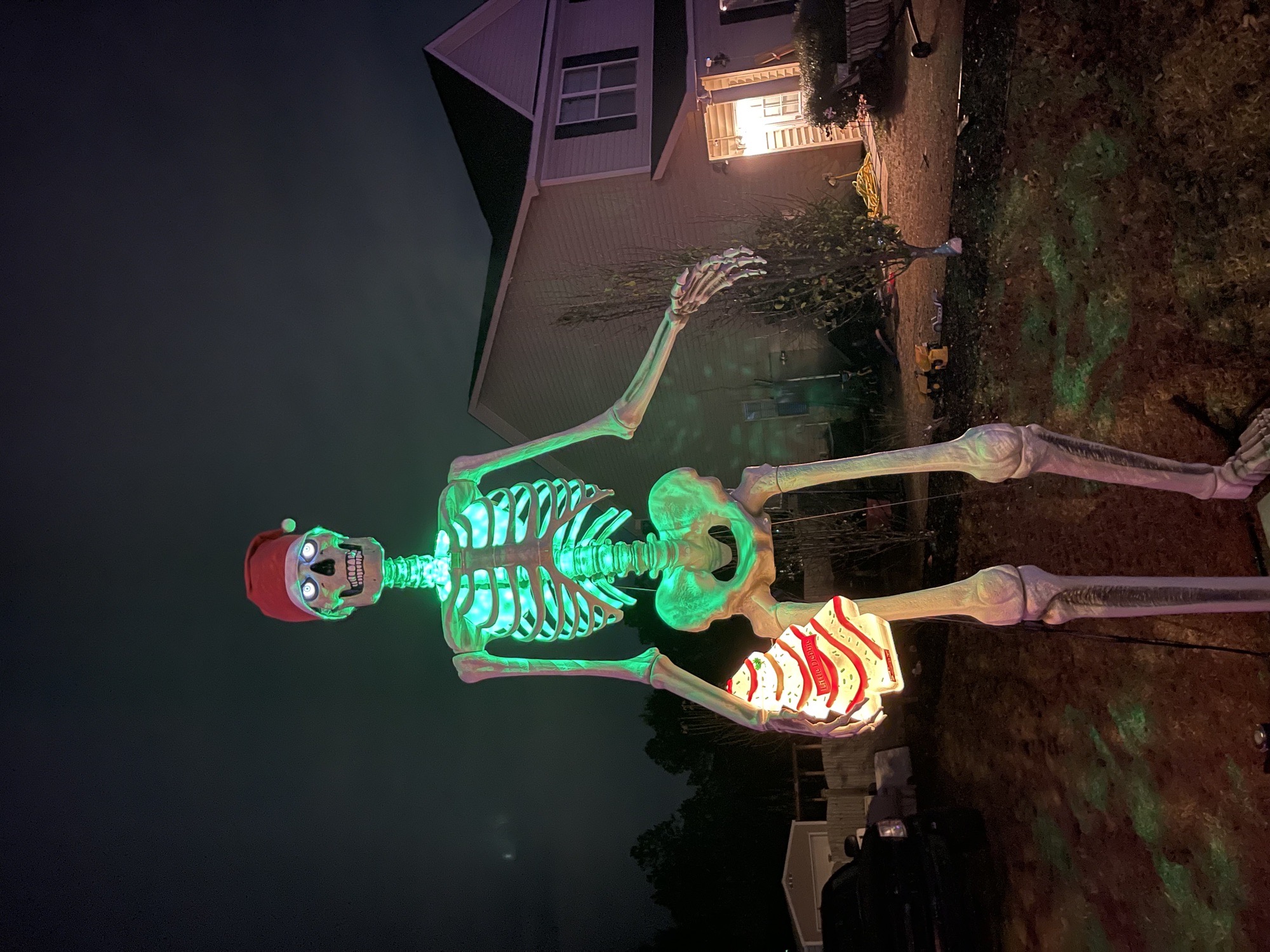 Heatherwood Winter Wonderland, Christmas lights in Lugoff, SC (photo 2)