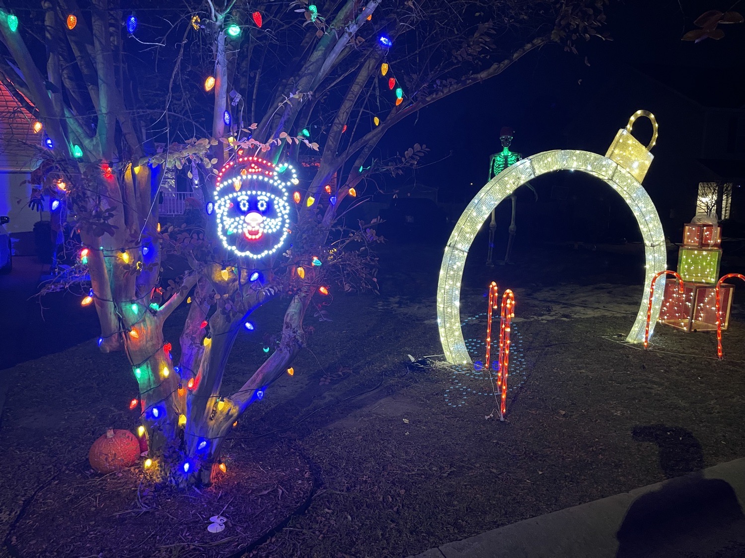 Heatherwood Winter Wonderland, Christmas lights in Lugoff, SC (photo 3)