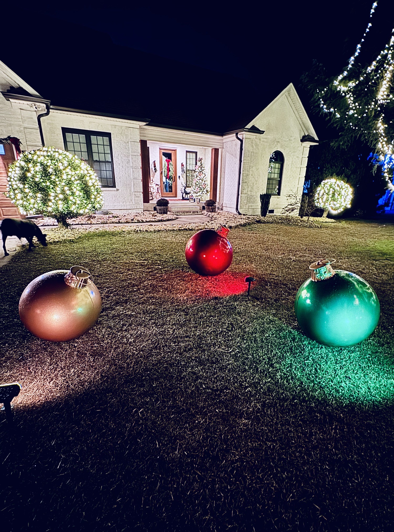 Wavcott Wonderland, Christmas lights in Fuquay Varina, NC (photo 2)