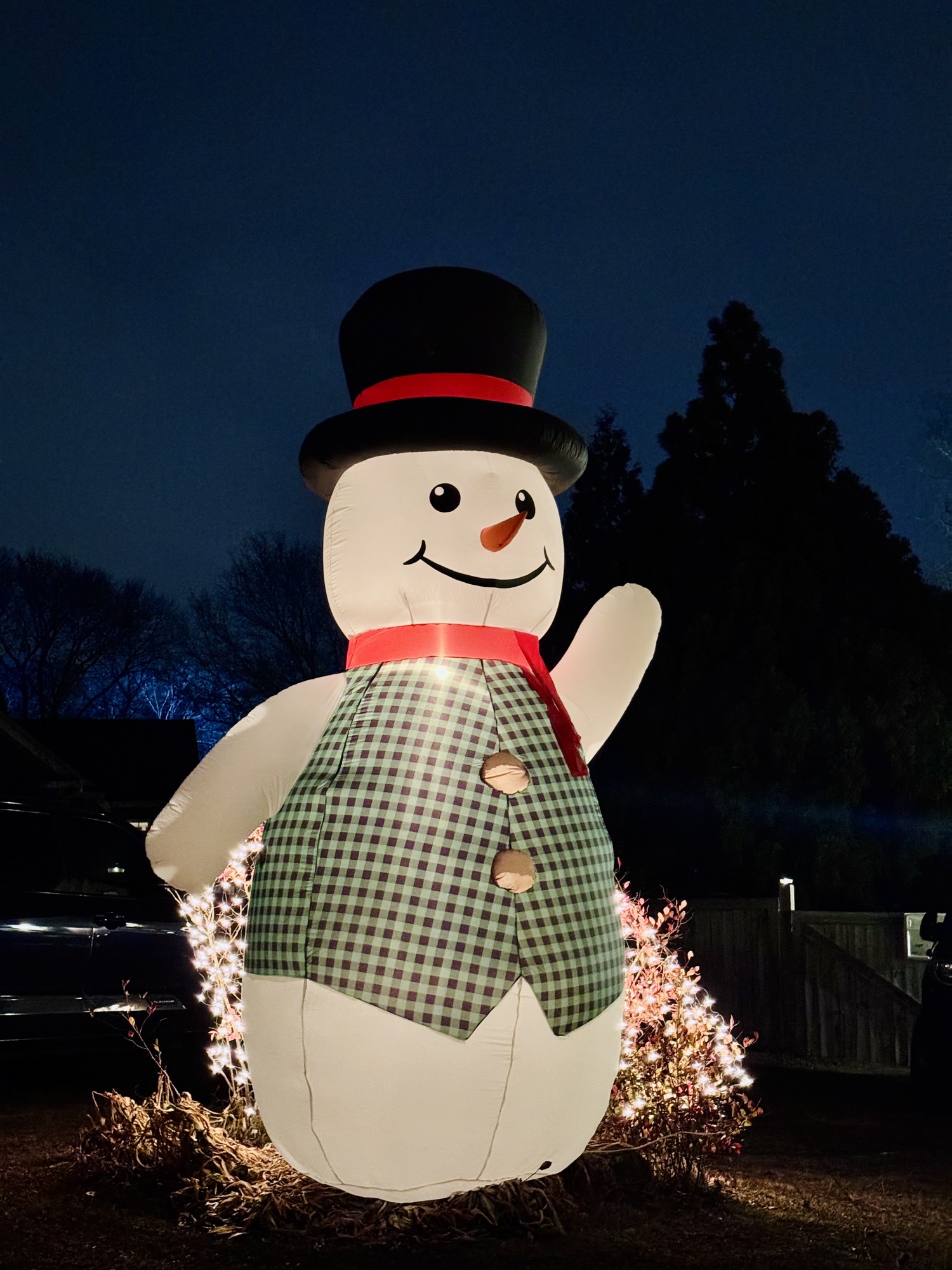 Wavcott Wonderland, Christmas lights in Fuquay Varina, NC (photo 3)