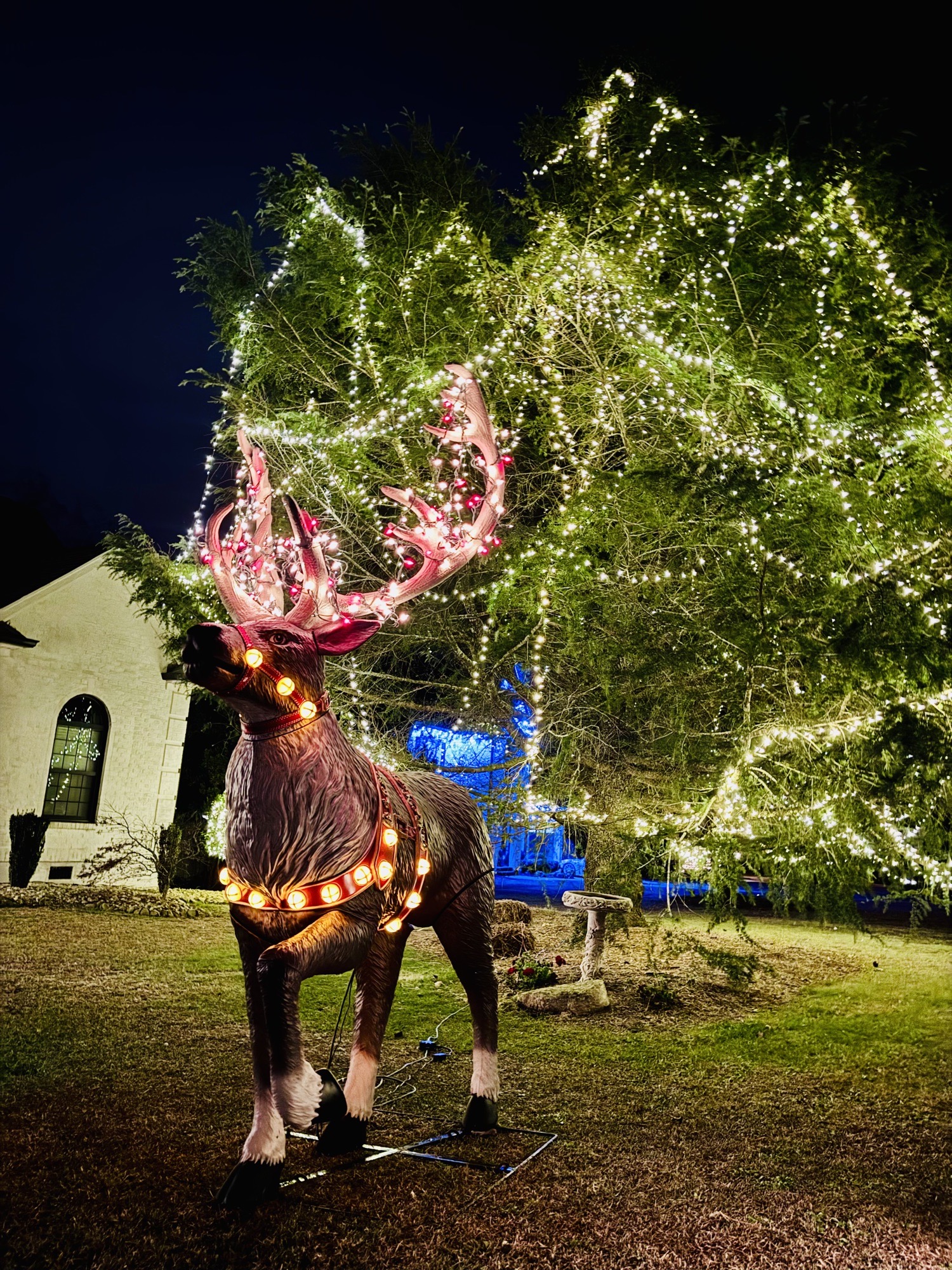Wavcott Wonderland, Christmas lights in Fuquay Varina, NC (photo 4)