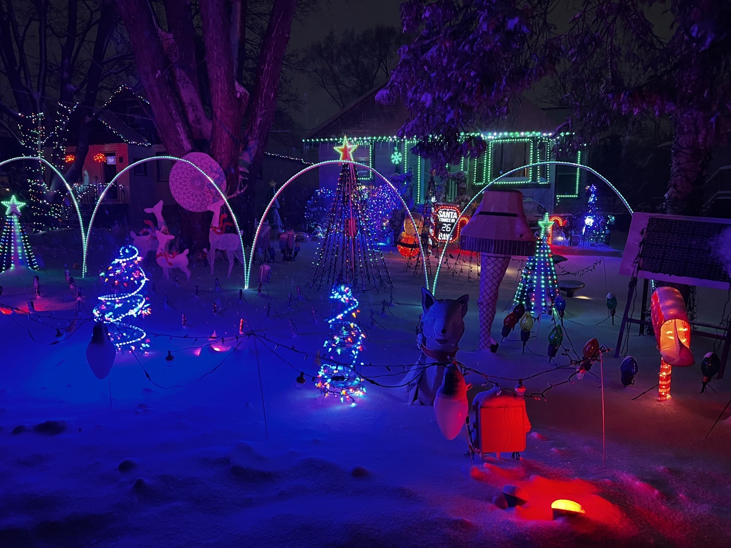 Friedrich family Light Show, Christmas lights in Round Lake Beach, IL (photo 2)
