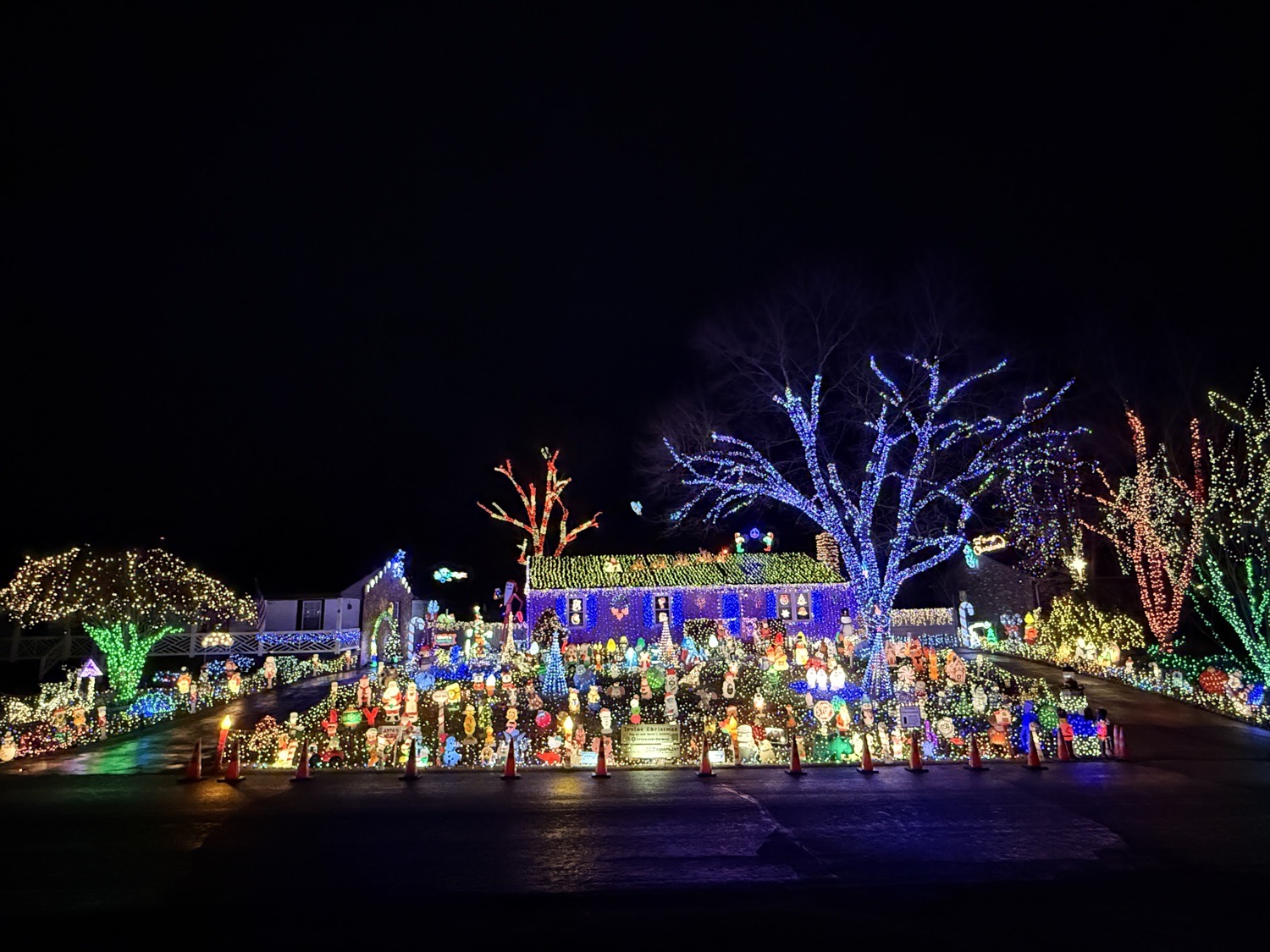 Irvine Christmas, Christmas lights in Midlothian, VA (photo 2)