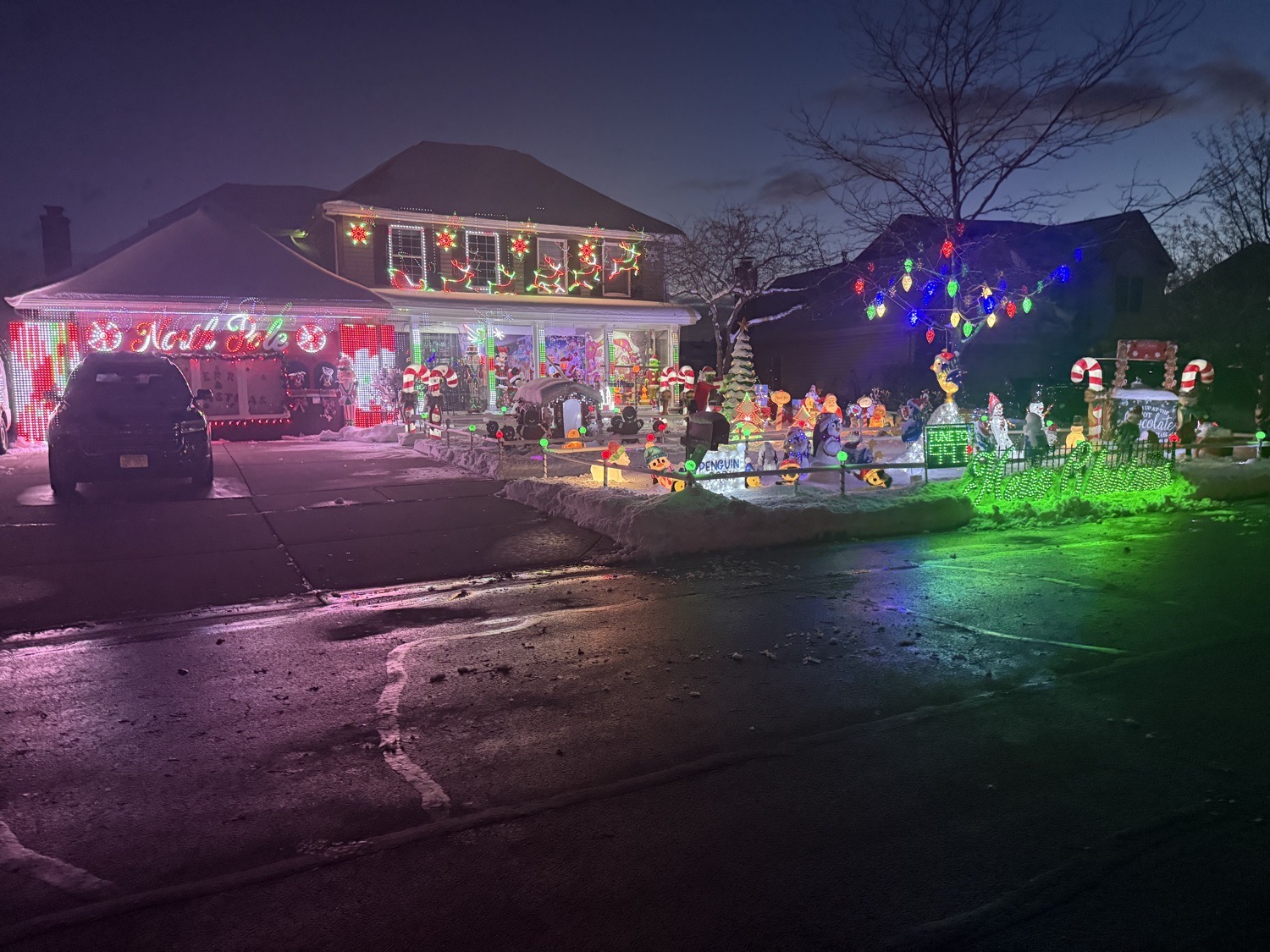 Lights on Easton, Christmas lights in Carol Stream, IL (photo 1)