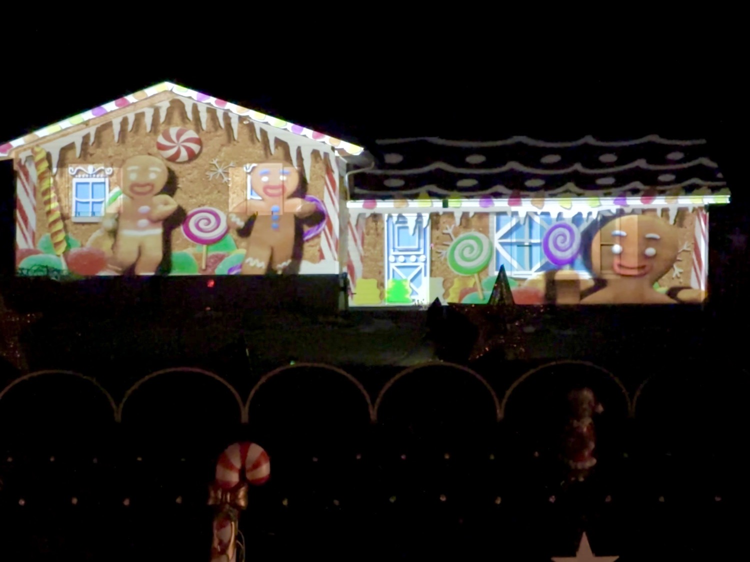 Video Projection Animated Light Show, Christmas lights in Campbell, NY (photo 4)