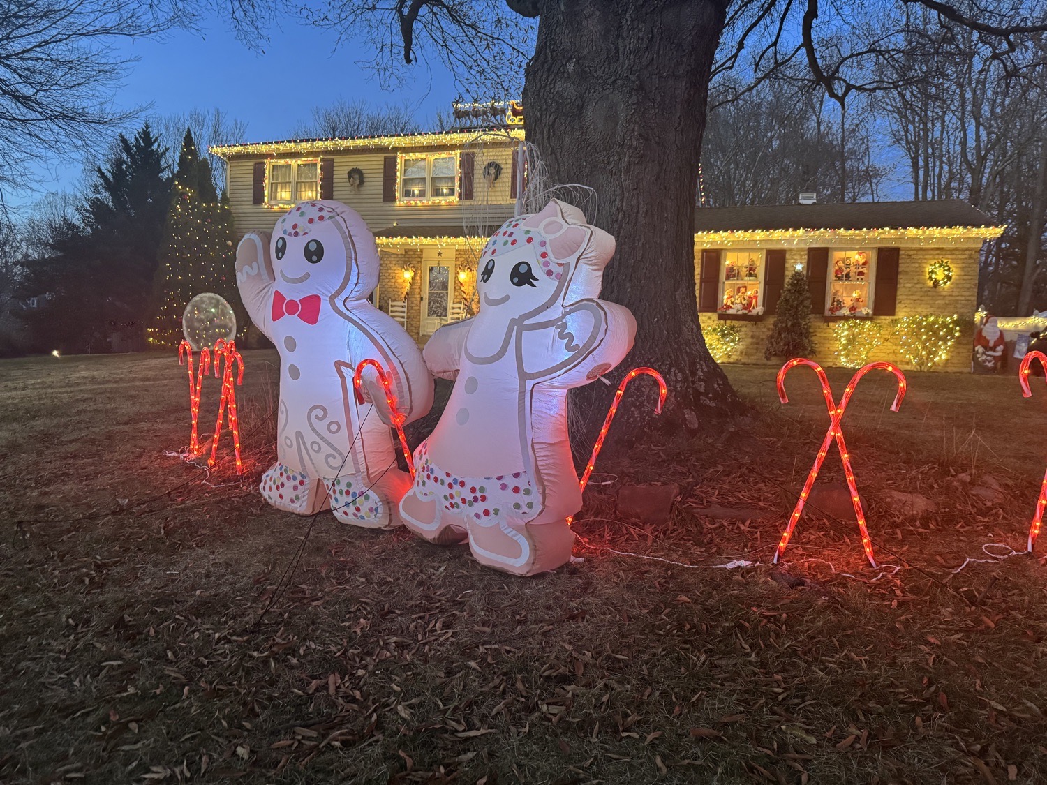 Shine On Suffolk, Christmas lights in Bear, DE (photo 2)