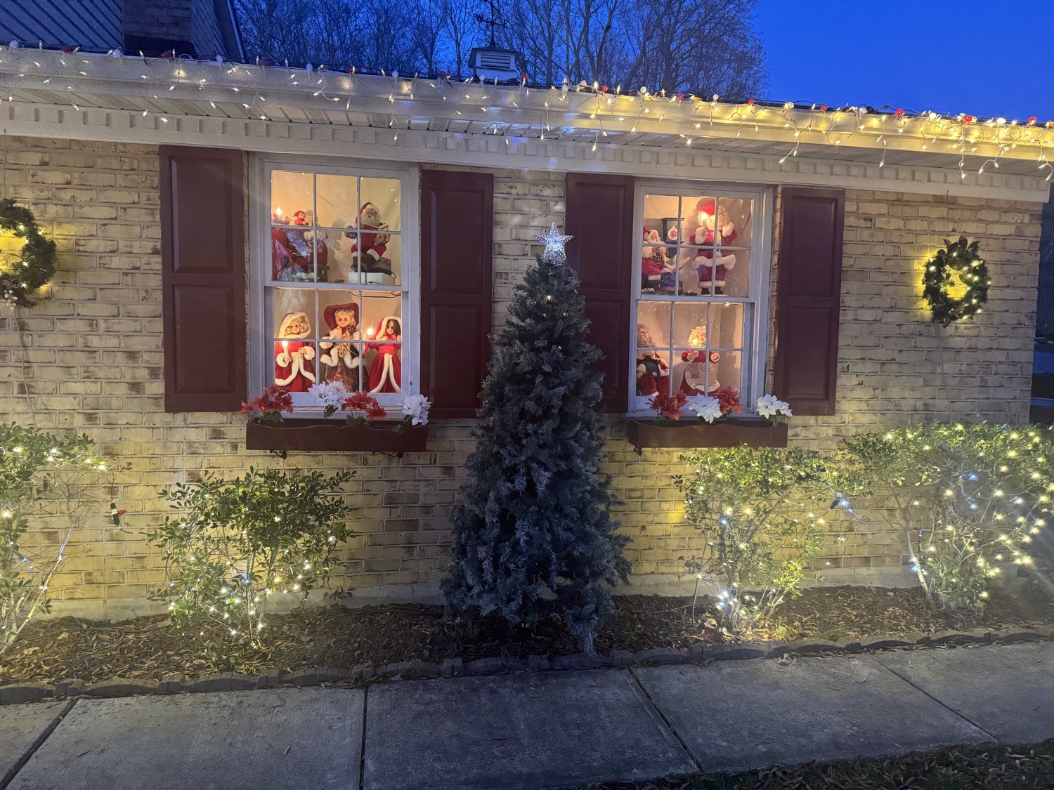Shine On Suffolk, Christmas lights in Bear, DE (photo 4)