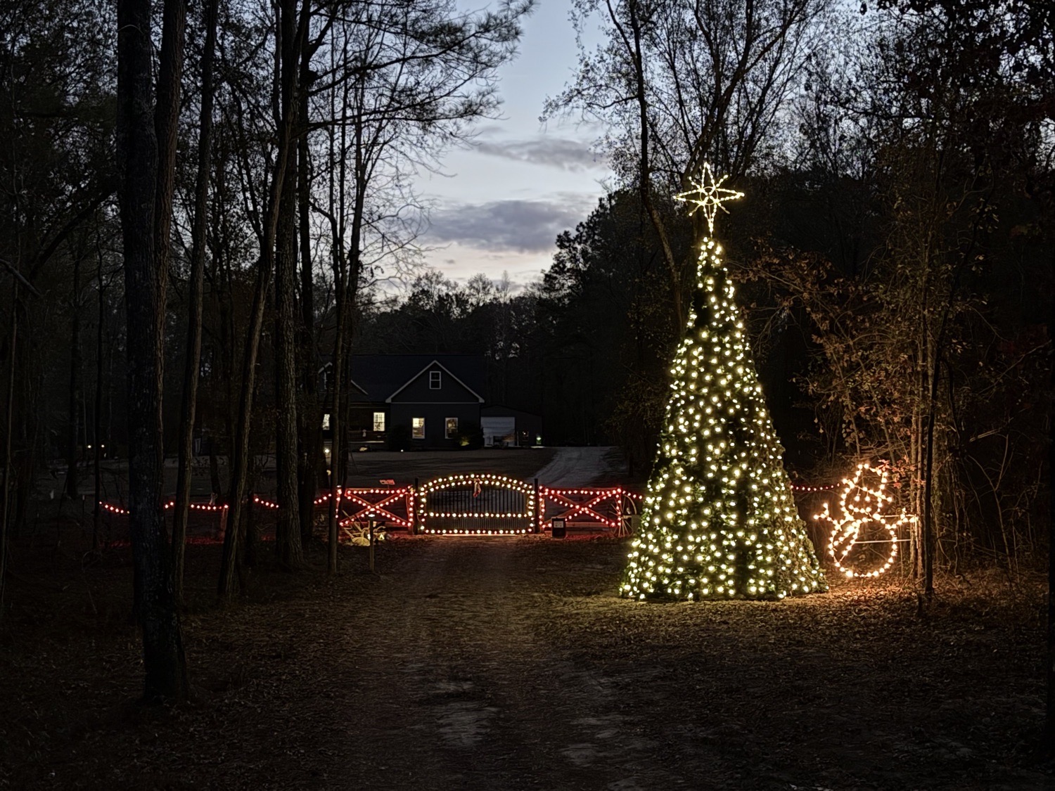 The Shumates, Christmas lights in Fort Valley, GA (photo 2)