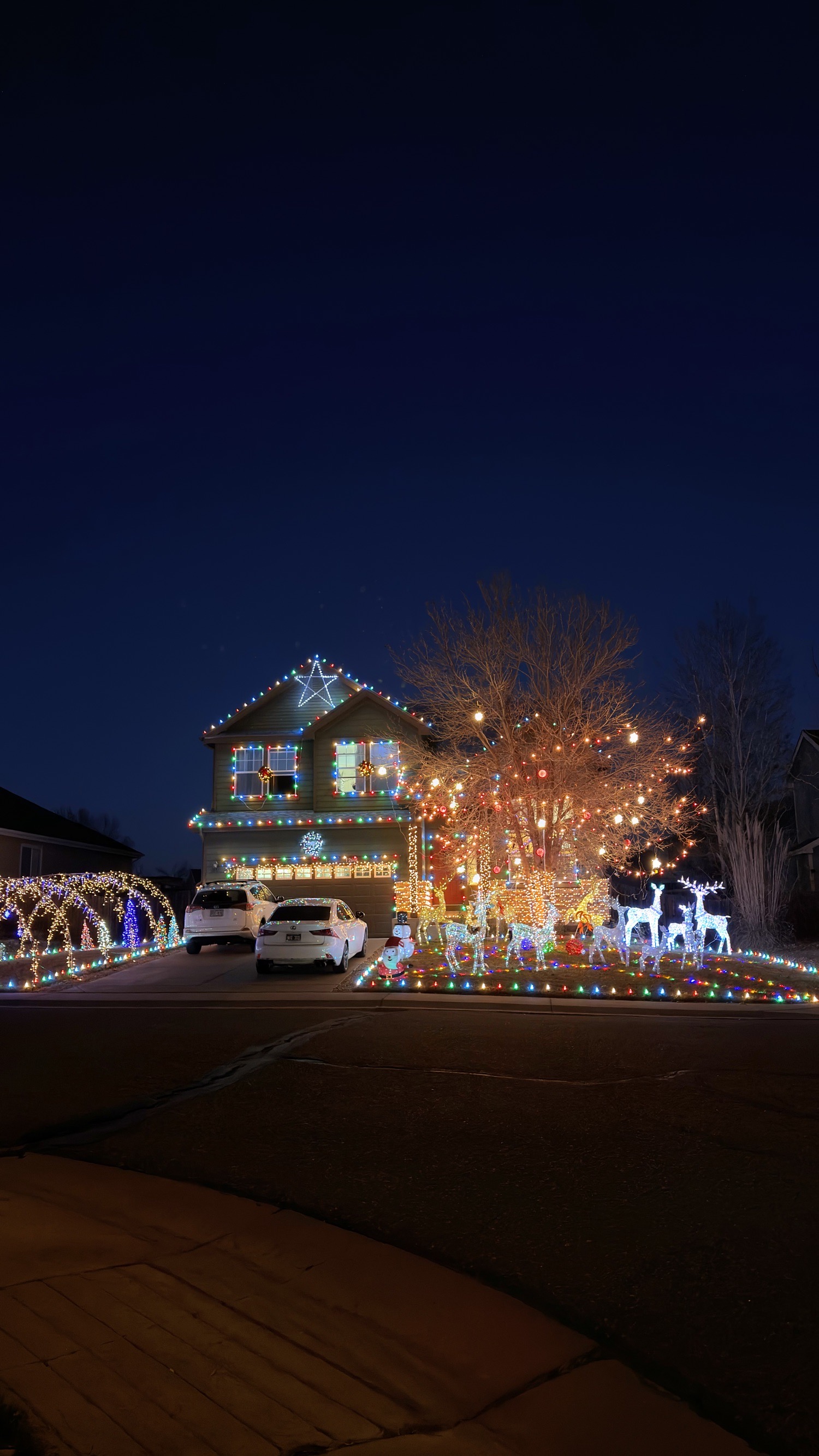 Just a house with lights, Christmas lights in Thornton, CO (photo 1)