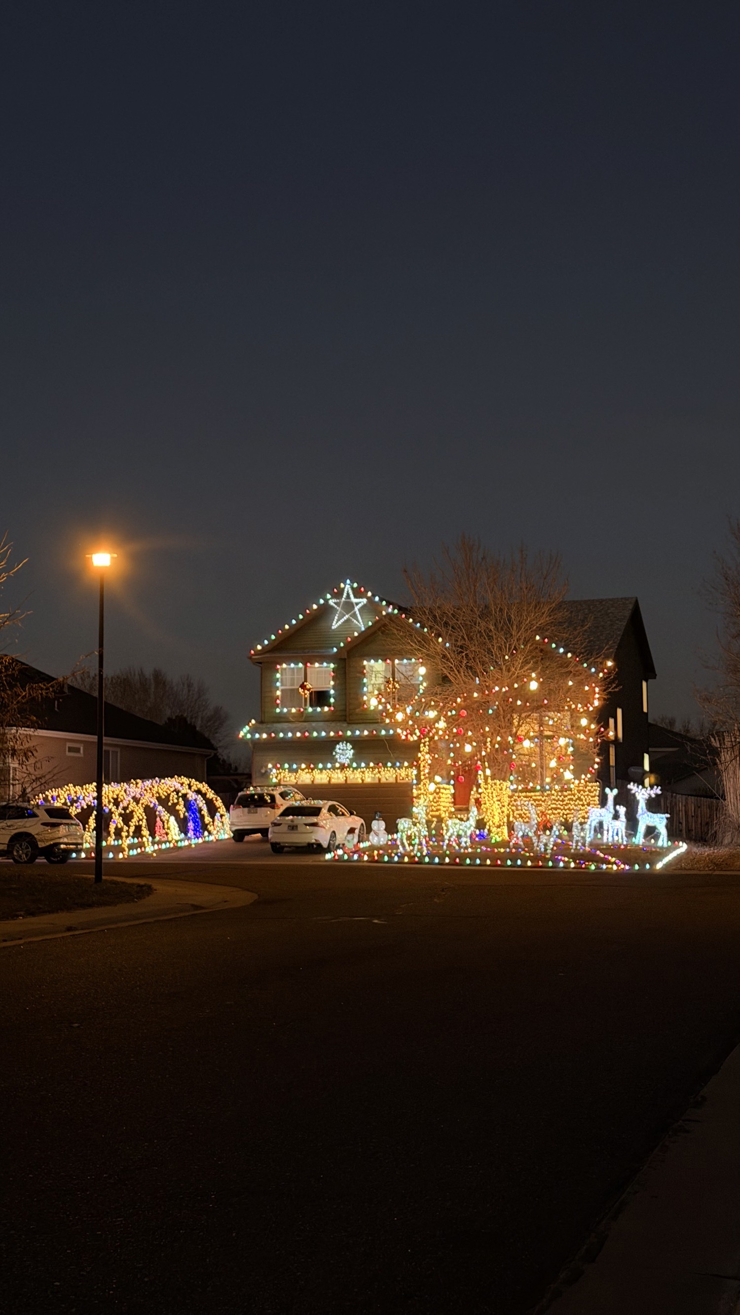 Just a house with lights, Christmas lights in Thornton, CO (photo 2)
